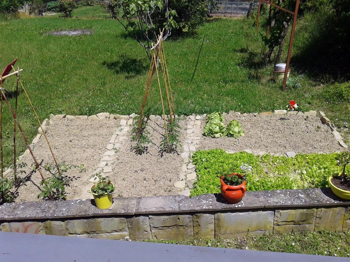 Photo 7