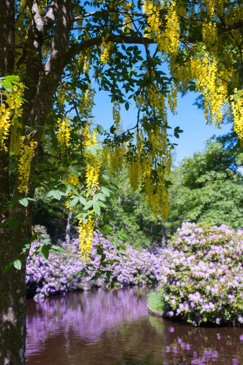 Ronneby Brunnspark Vandrarhem och B&B