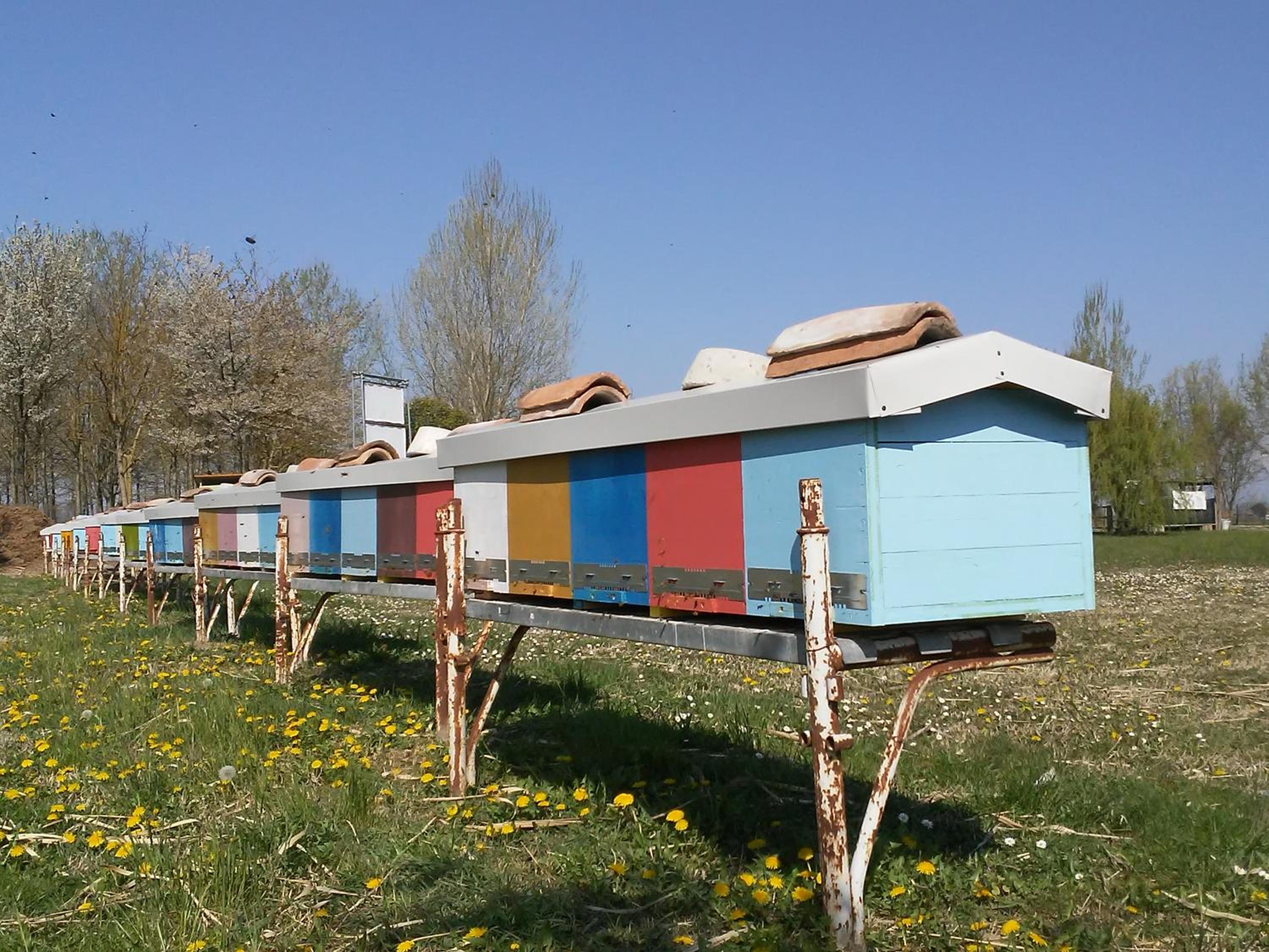 Antico Casale dei Sogni agriturismo
