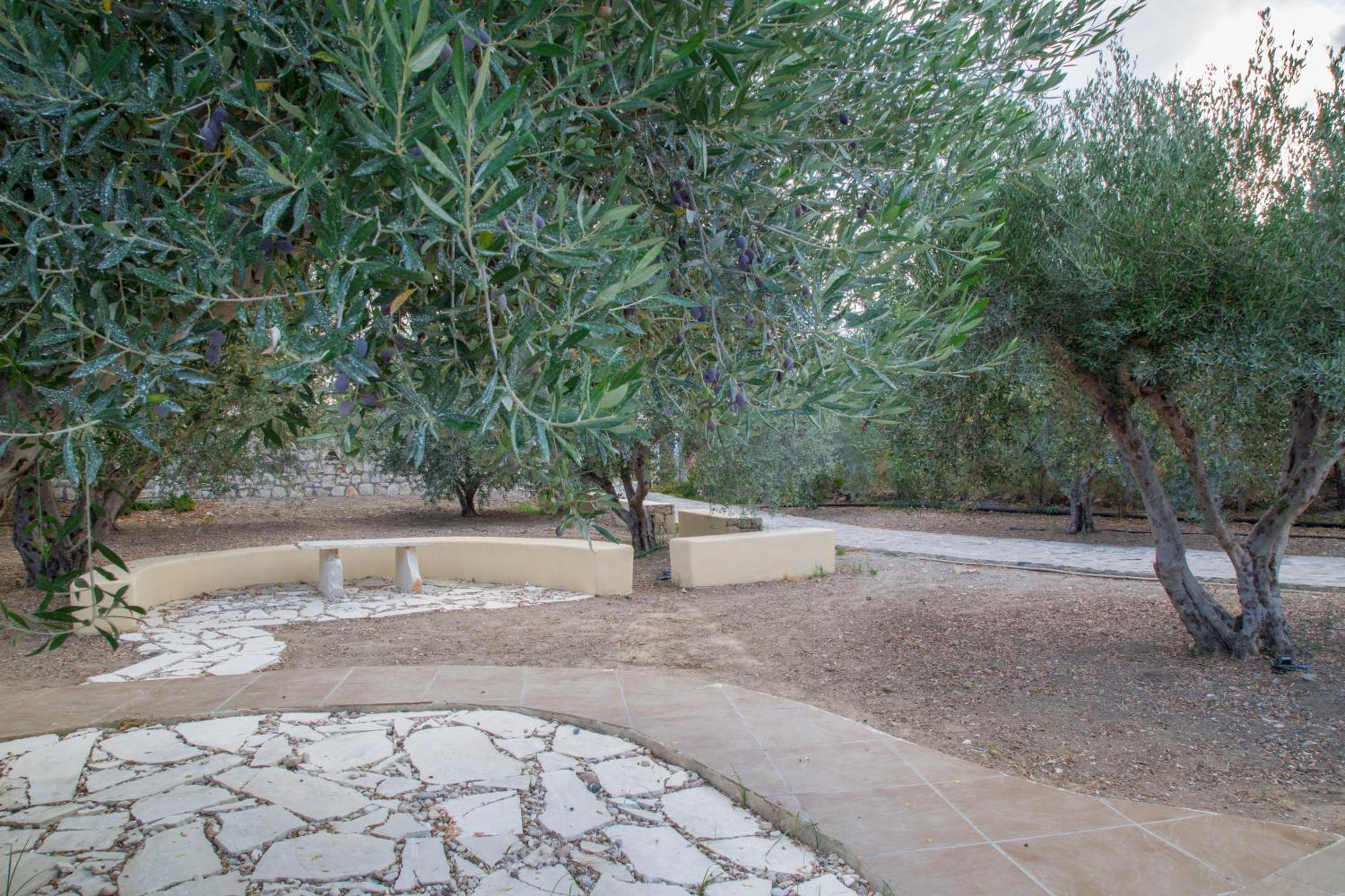 Photo 27