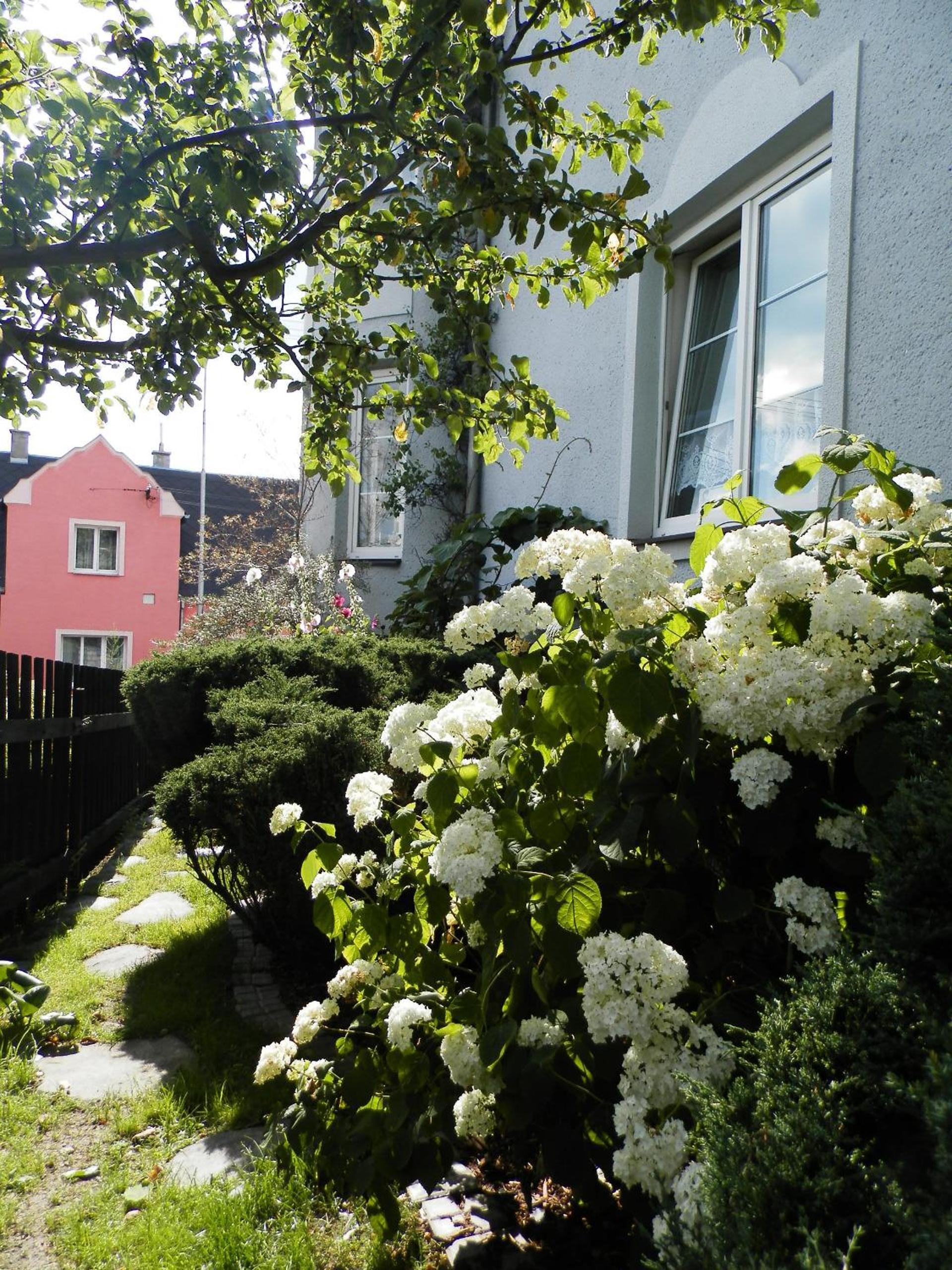 Holiday House Smetánek