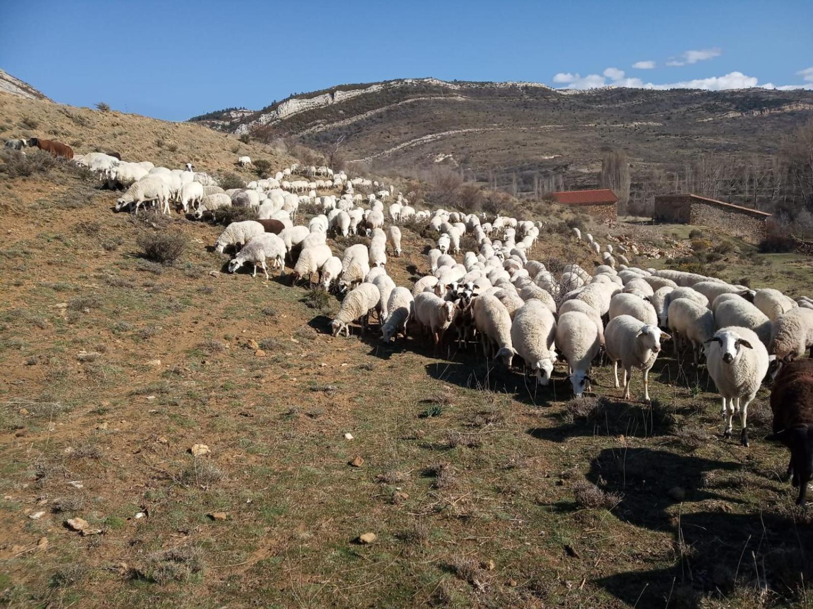 Casa Rural Chulilla photo 2