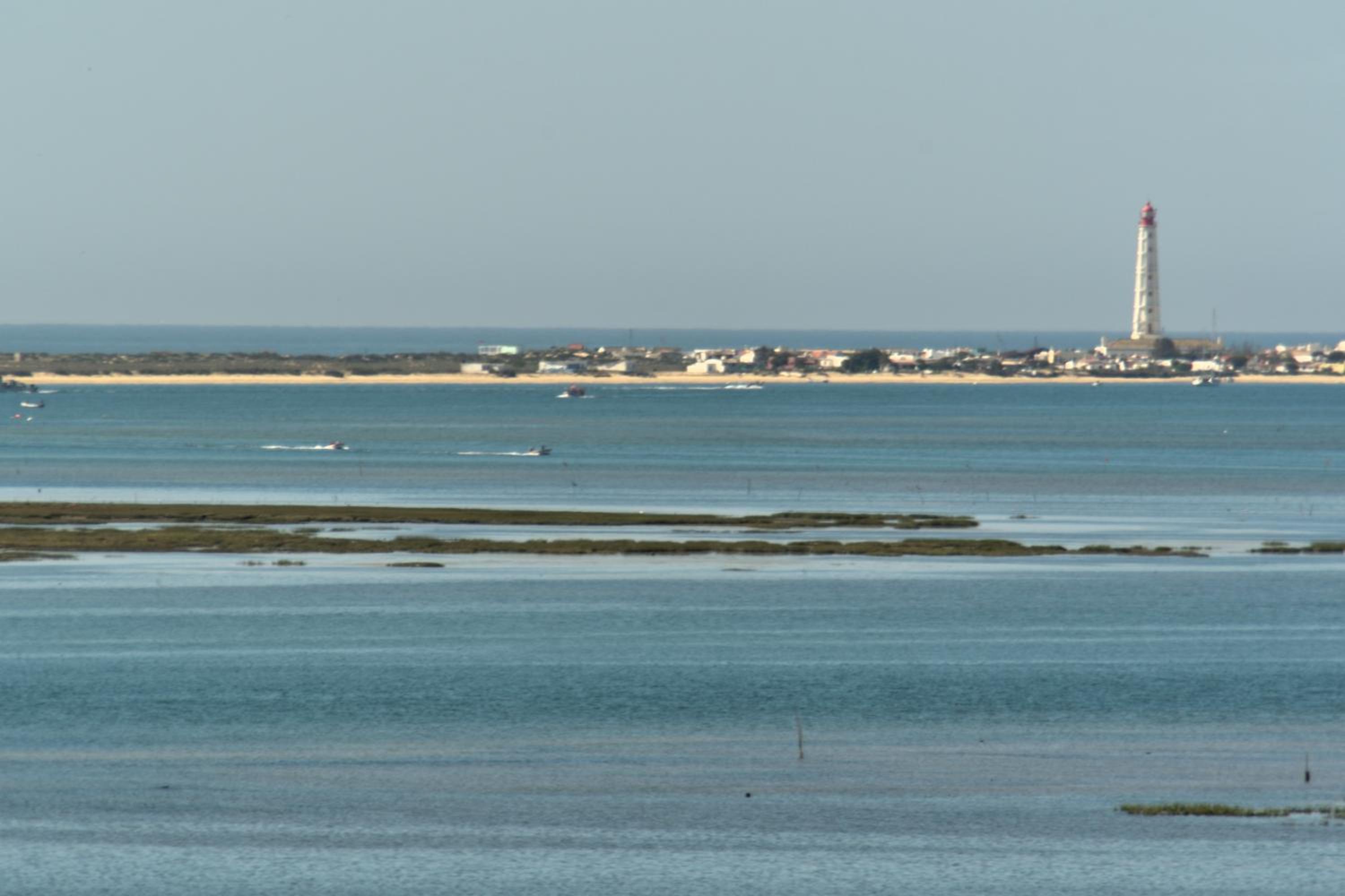 Stork Apartment view 4