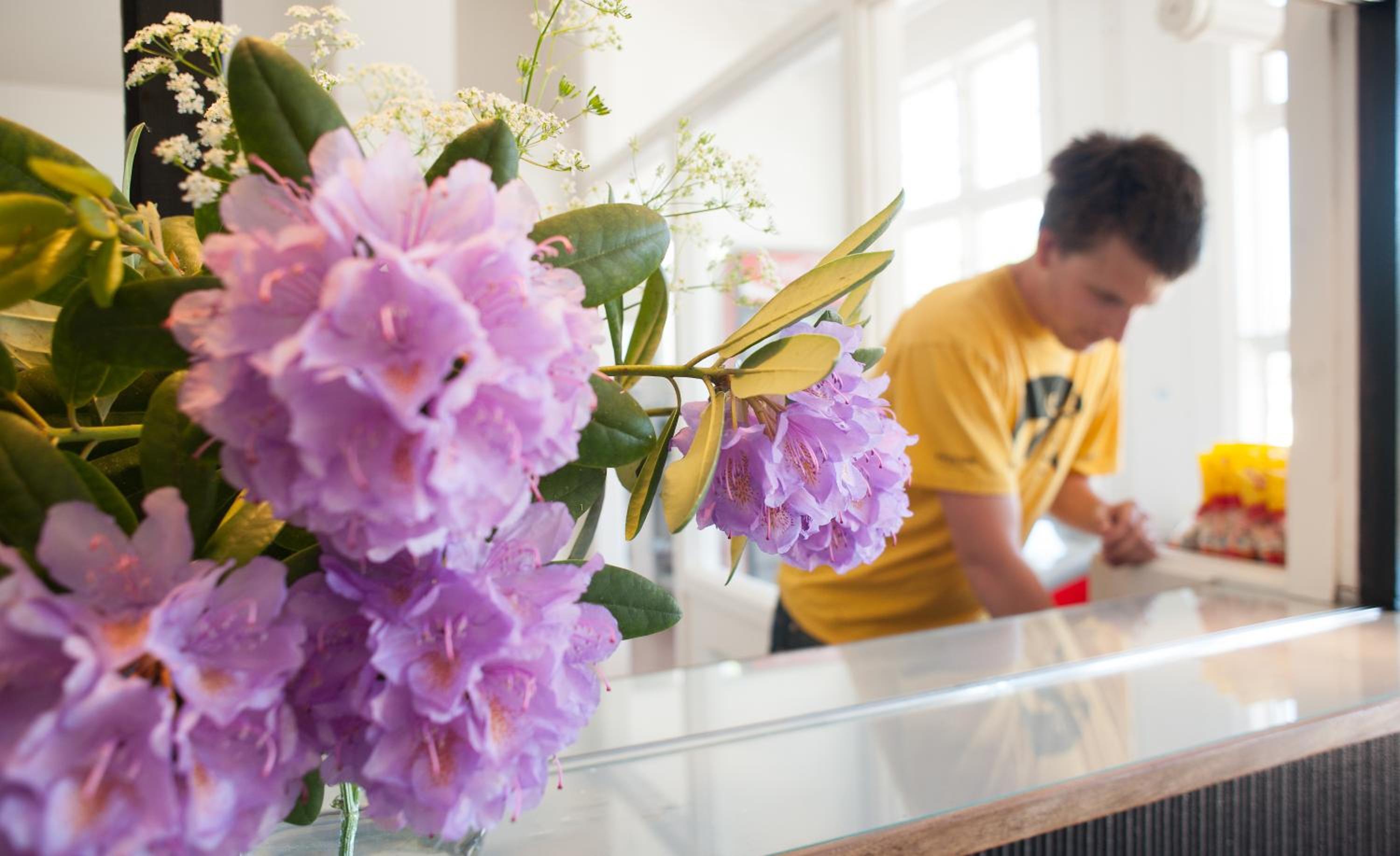 Ronneby Brunnspark Vandrarhem och B&B