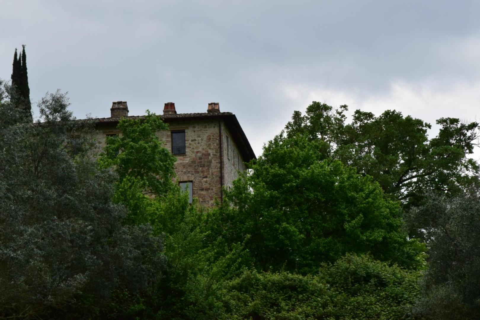 Agriturismo Il Poggio degli Scoiattoli view 5