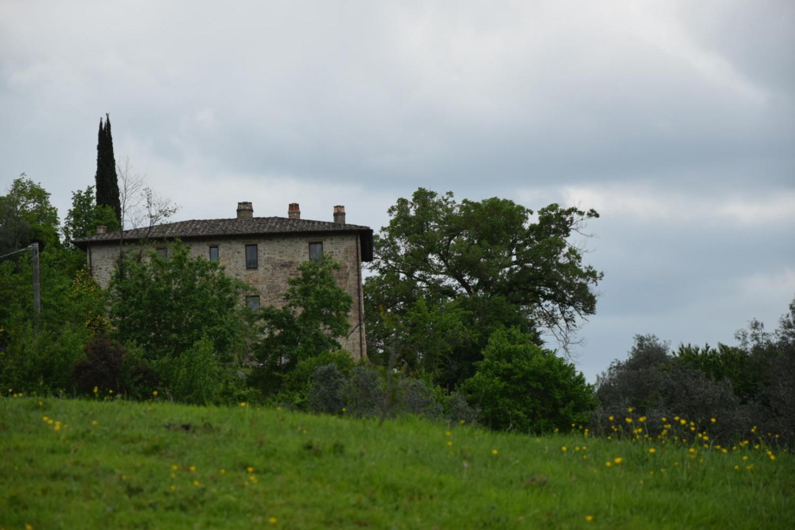 Agriturismo Il Poggio degli Scoiattoli view 3