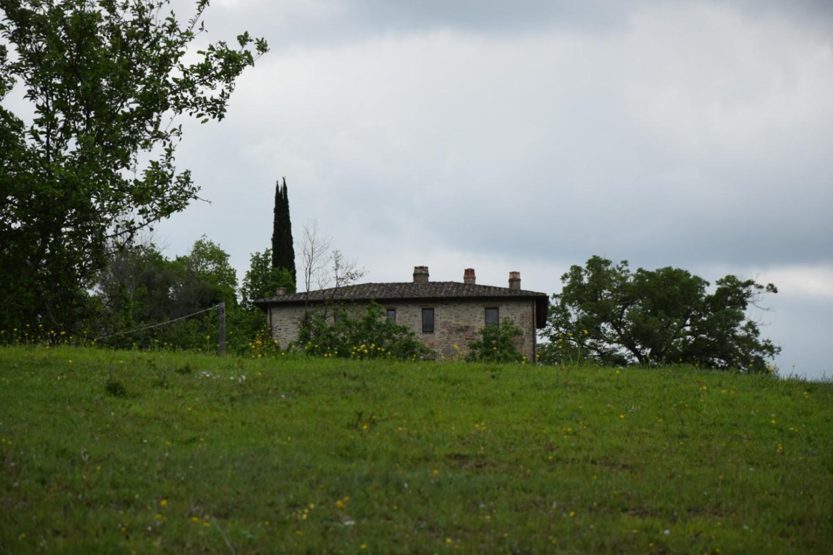 Agriturismo Il Poggio degli Scoiattoli view 2