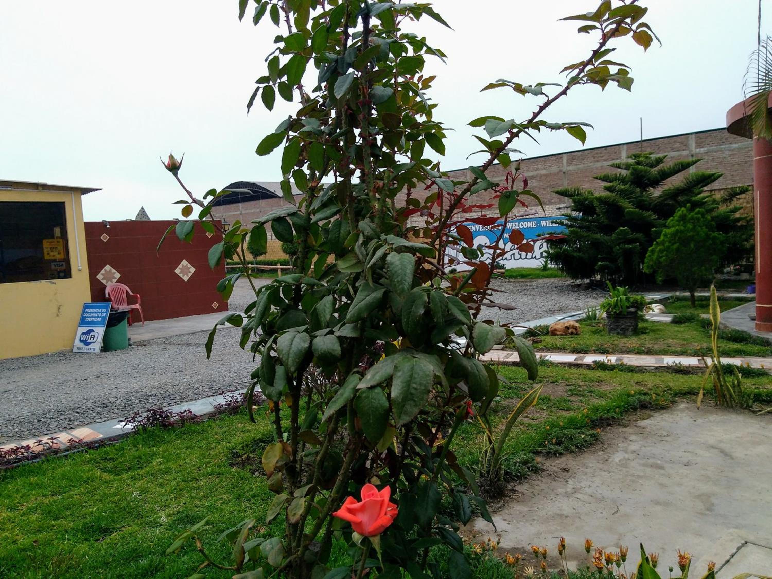 Photo 12