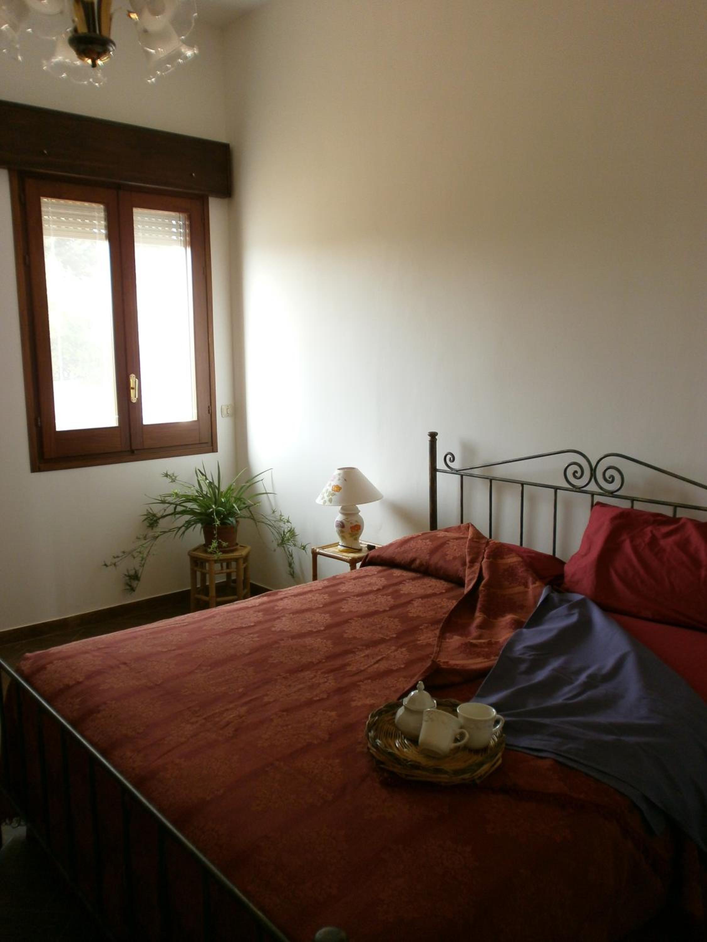 Stella Dei Campi
