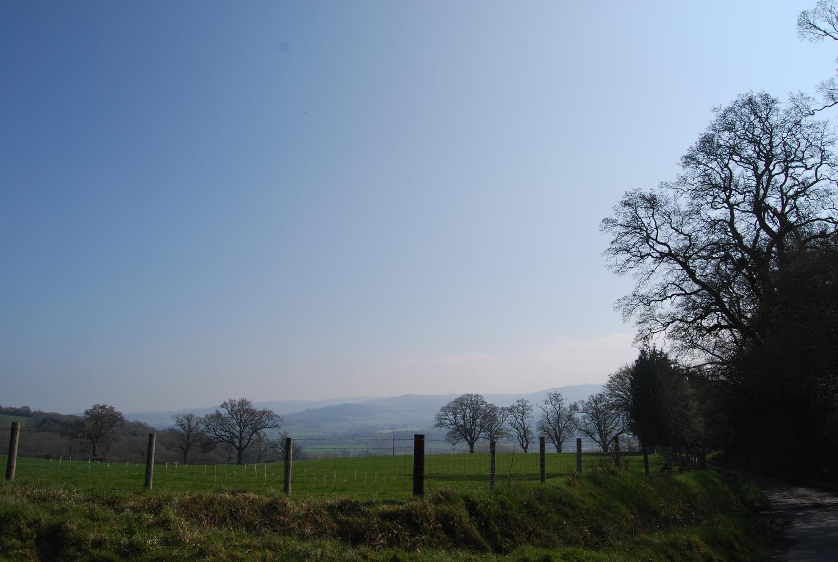 Photo 43