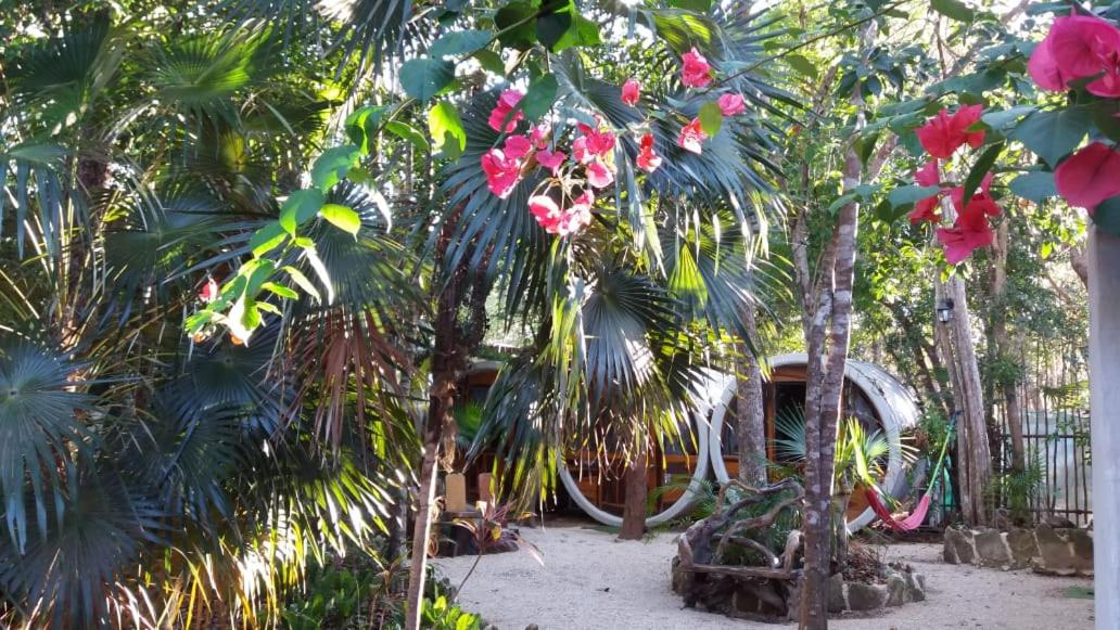 Tubo Tulum Hostel - Unique Stay