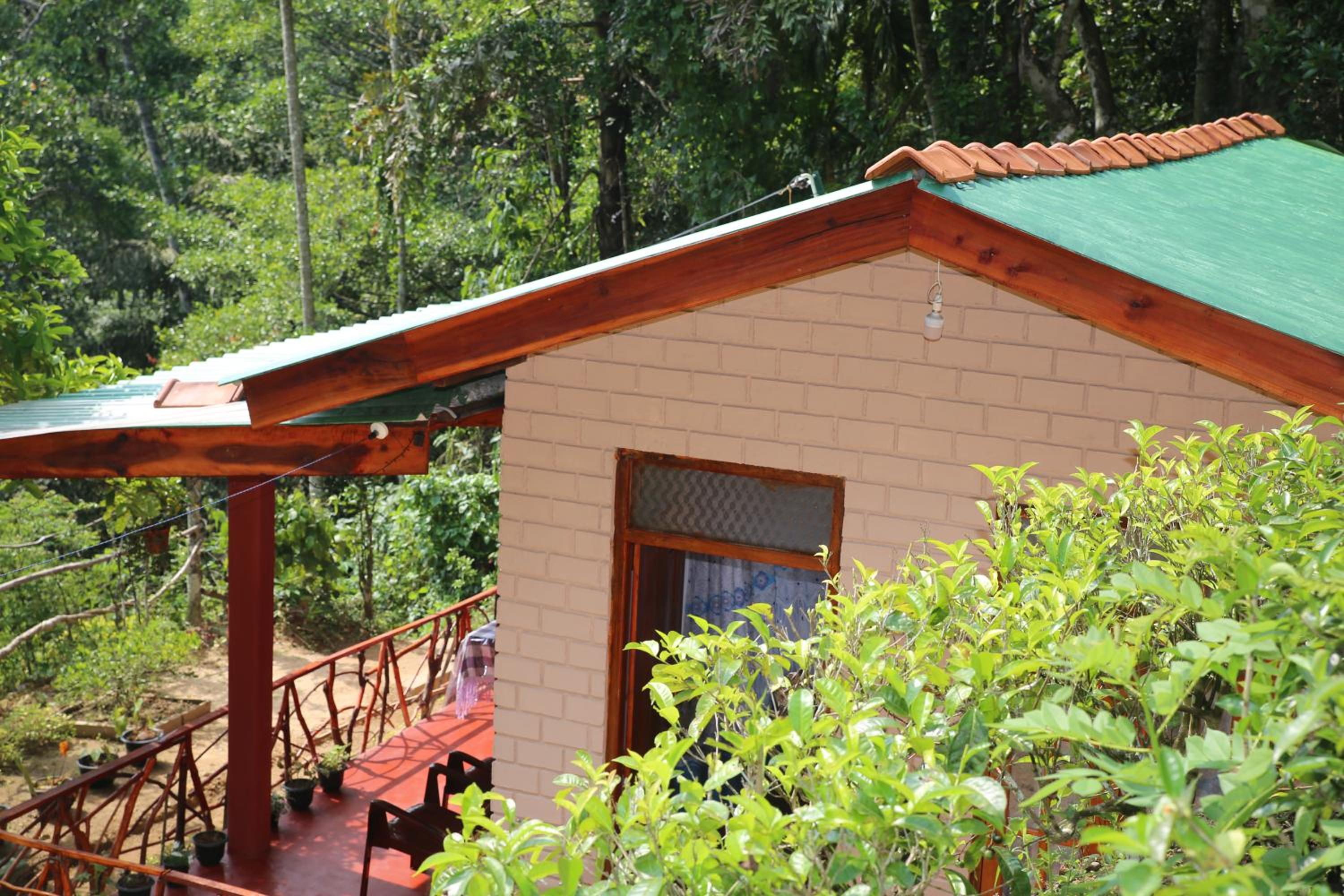 Hidden Slope Cottage view 5