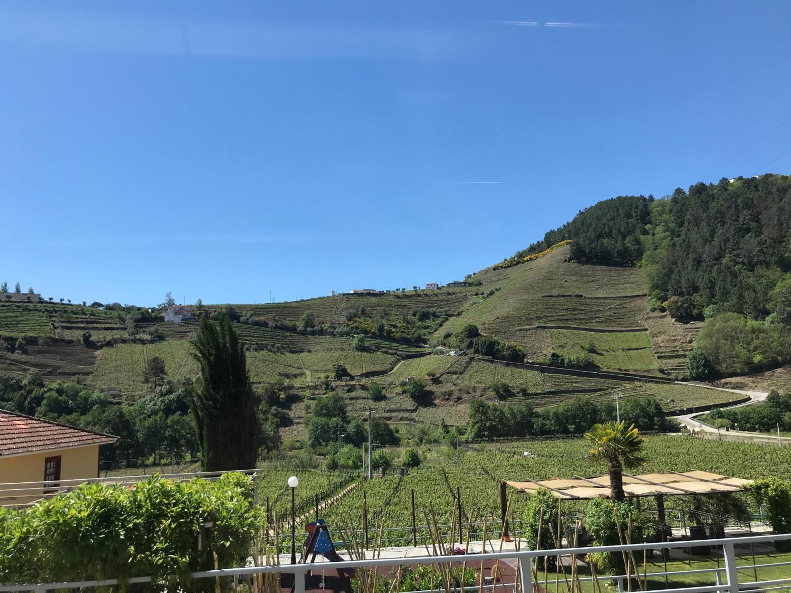 Solar Quinta da Portela - Douro