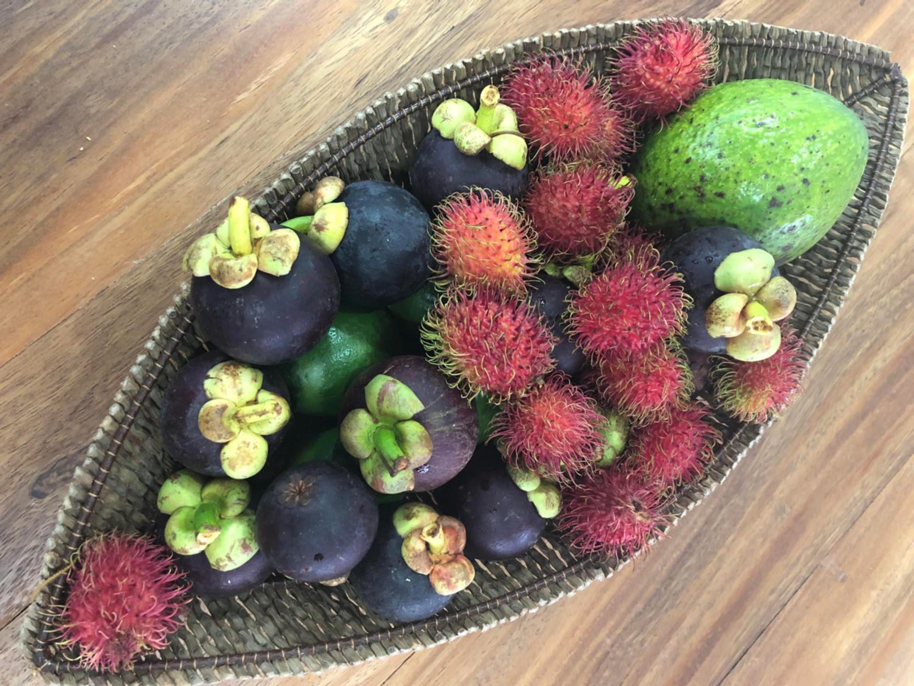 Hotel Boutique La Ceiba