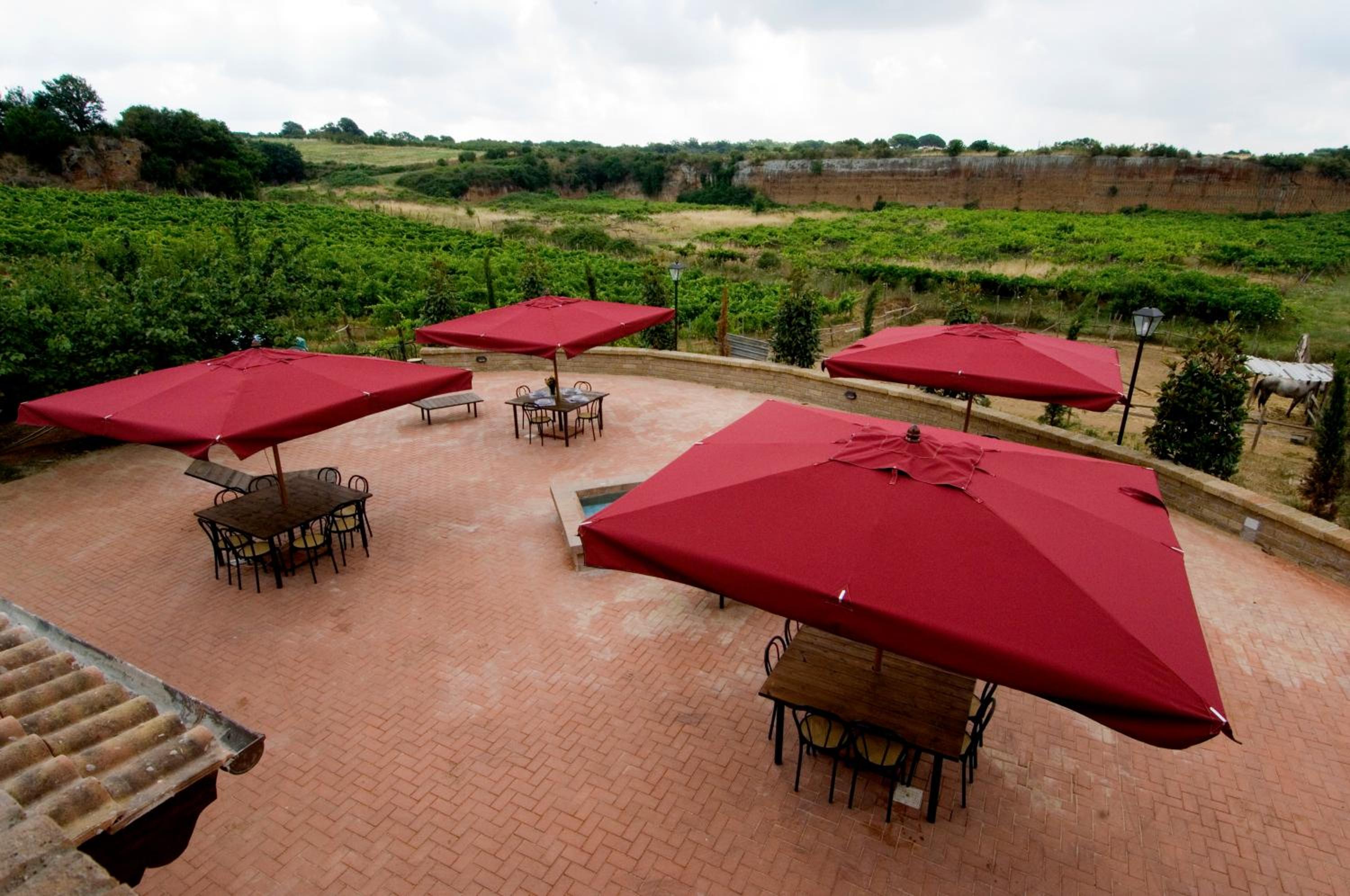 Azienda Agricola Sinisi