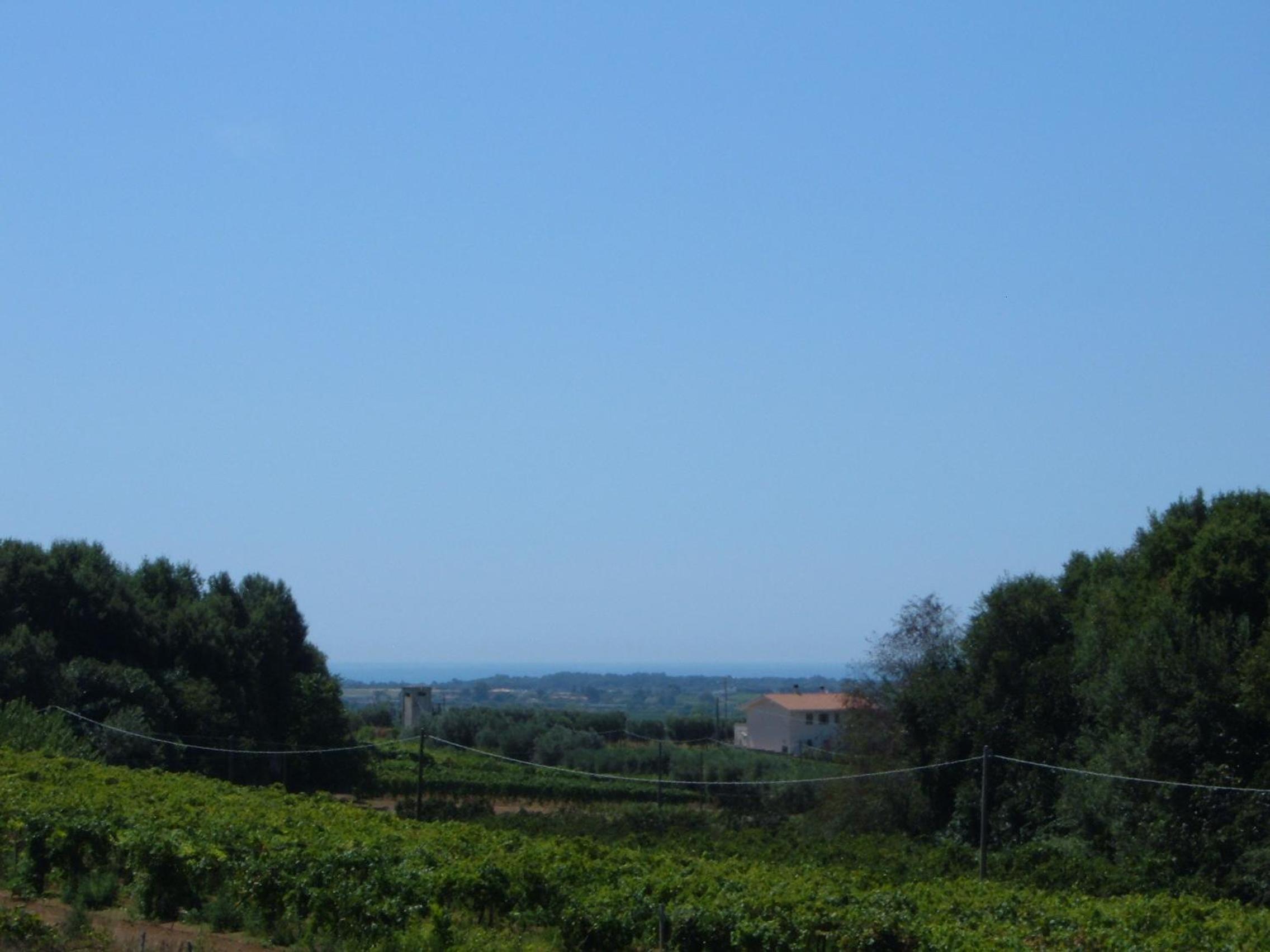 Azienda Agricola Sinisi