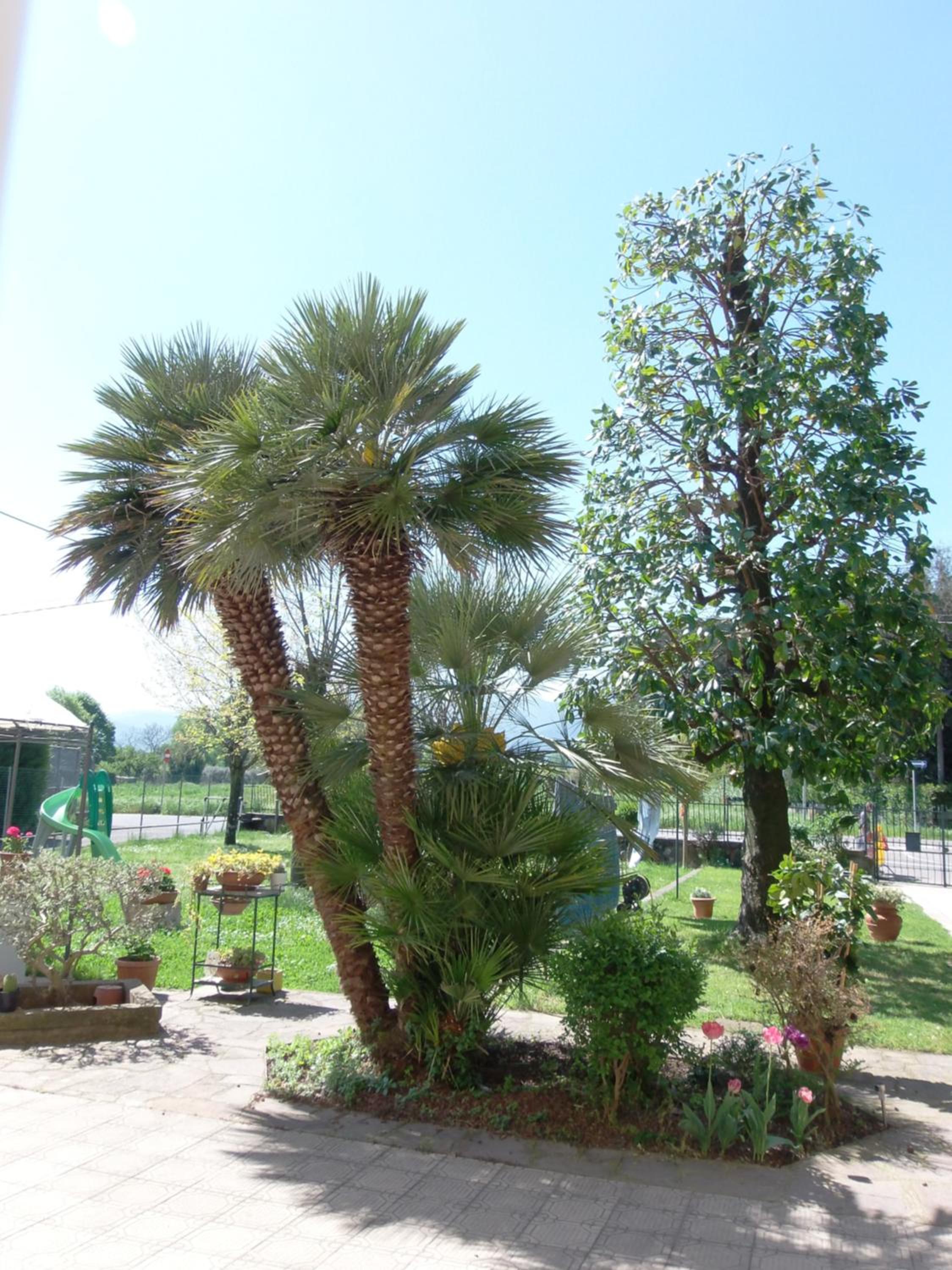 Casa Magnolia view 2