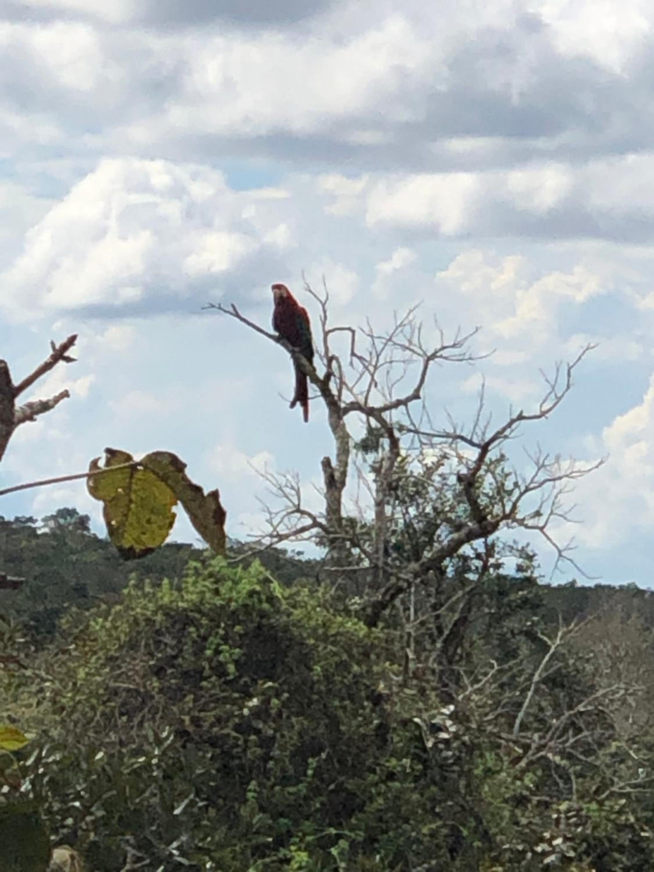 Pousada Jardim da Chapada