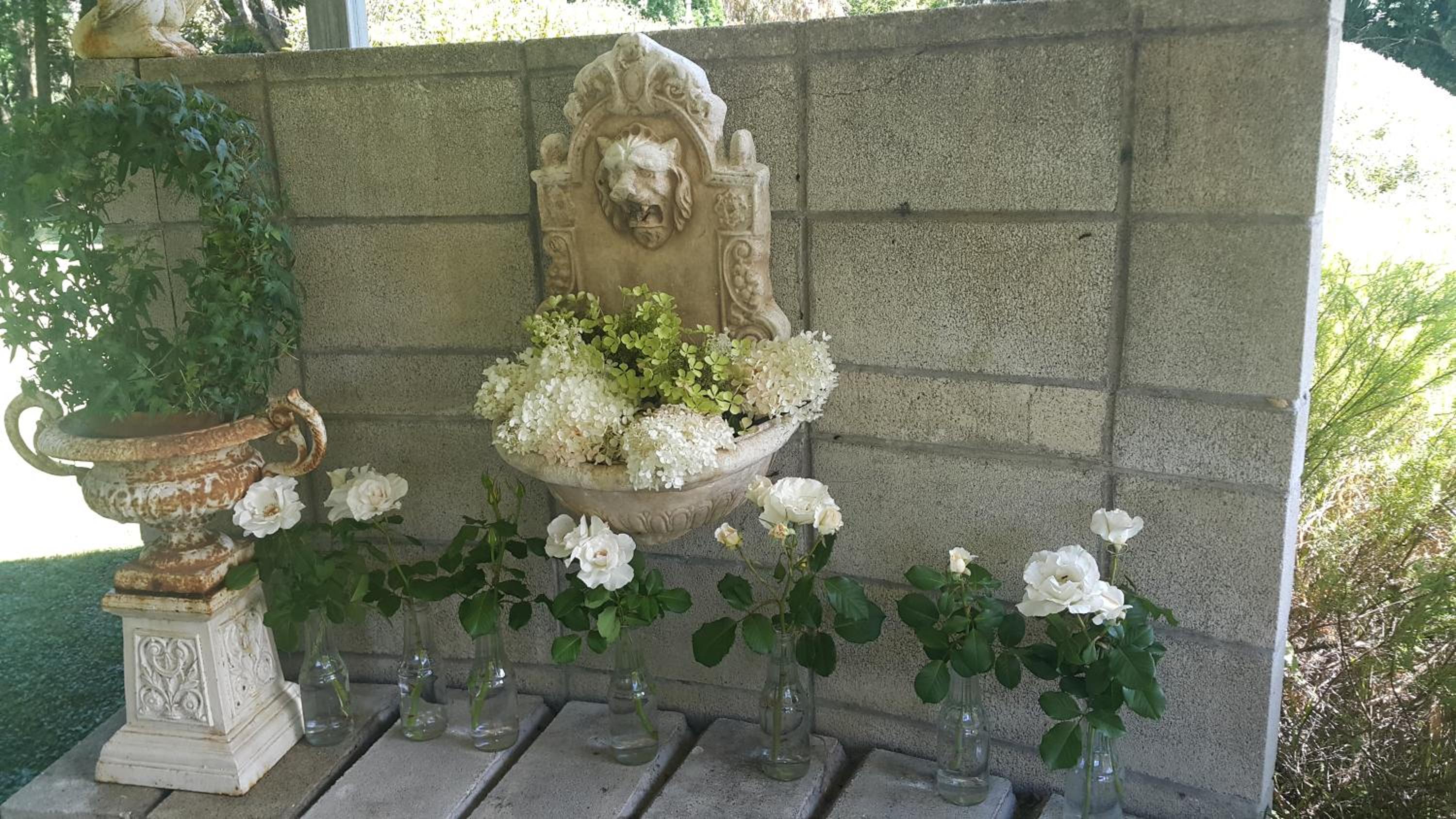 Photo 32