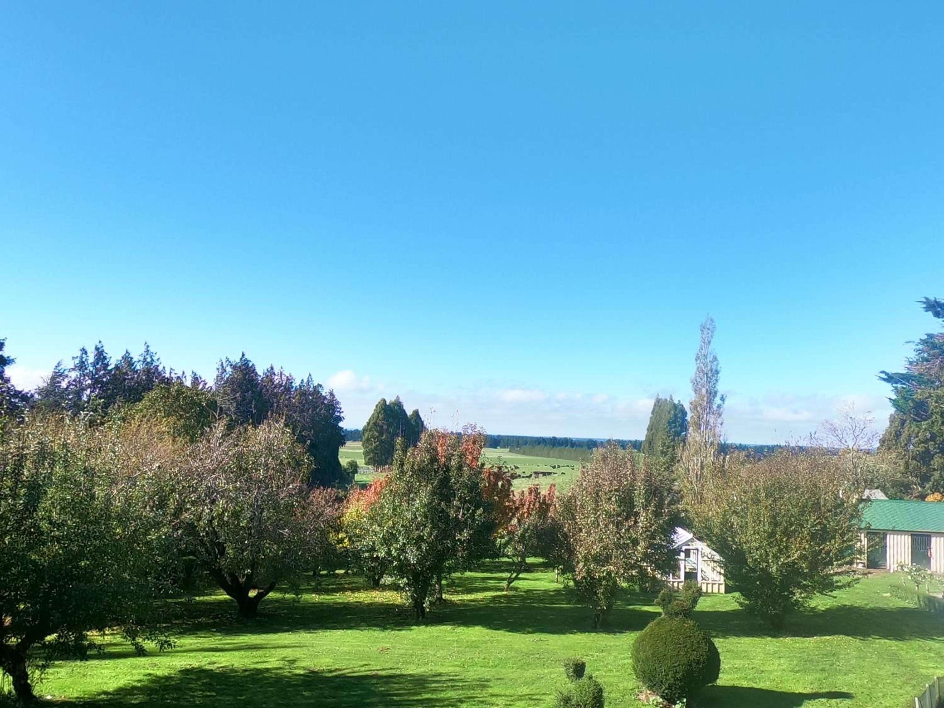 Photo 40