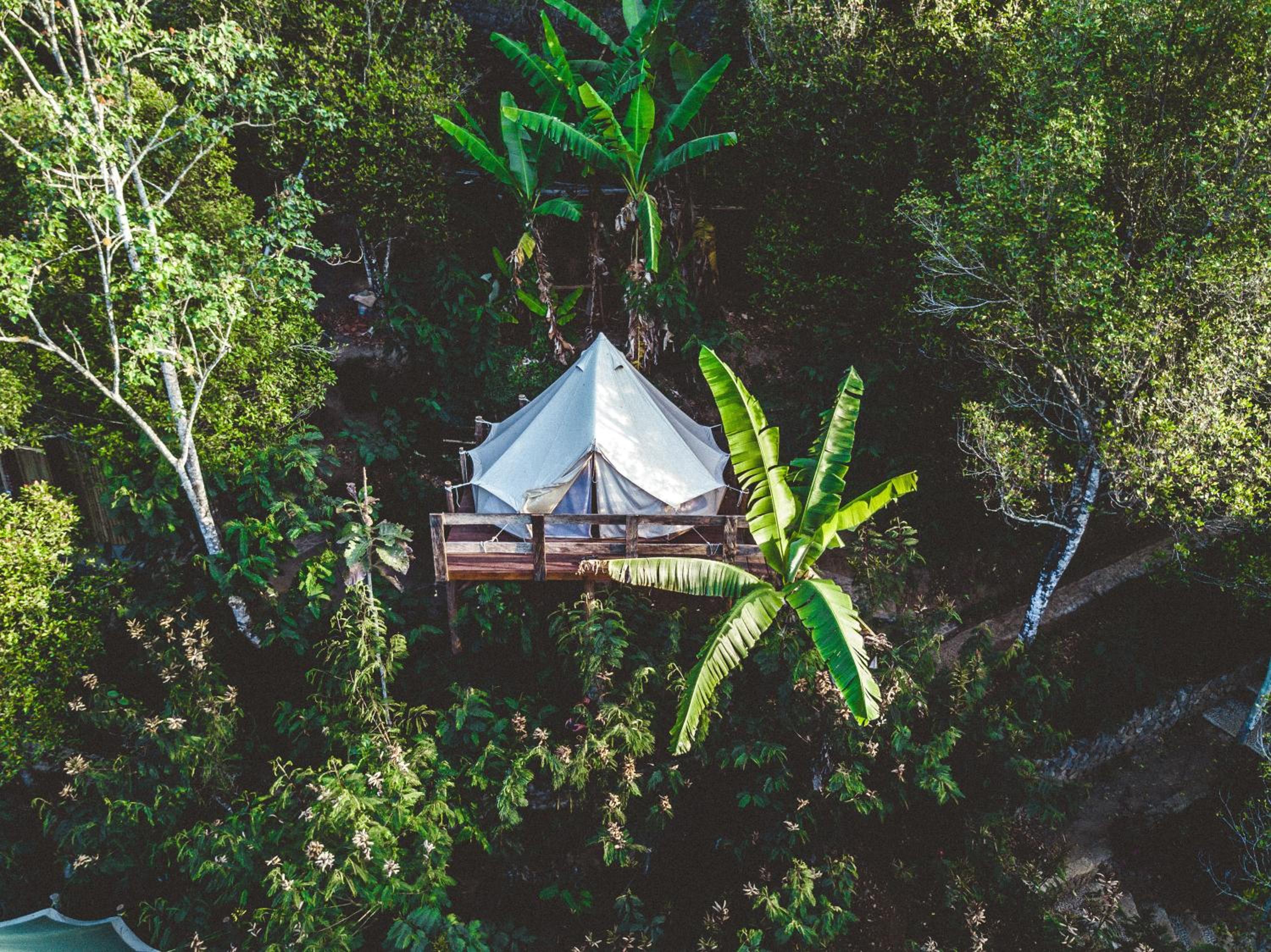 Photo 55