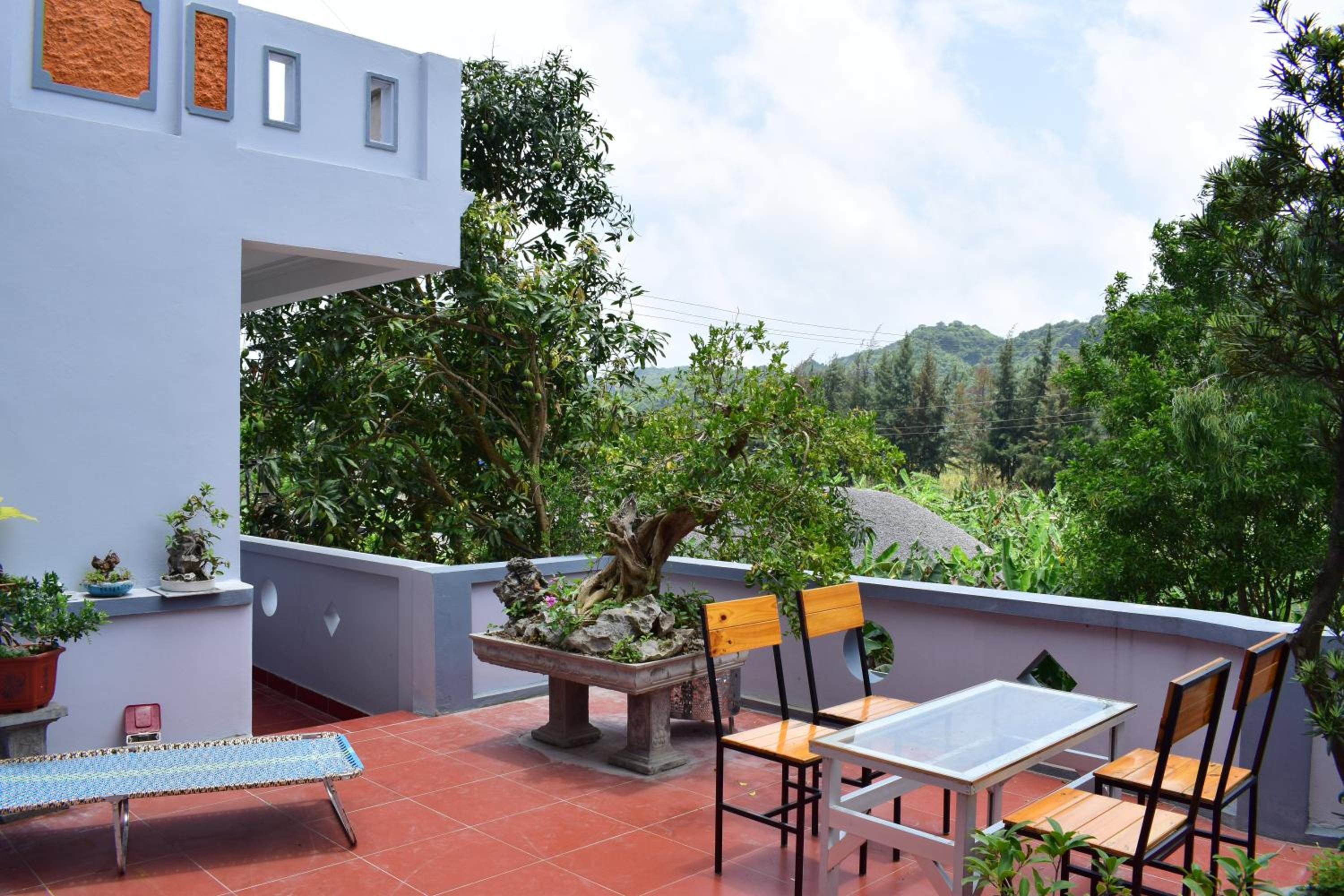 Cat Ba Sweet Potato Homestay
