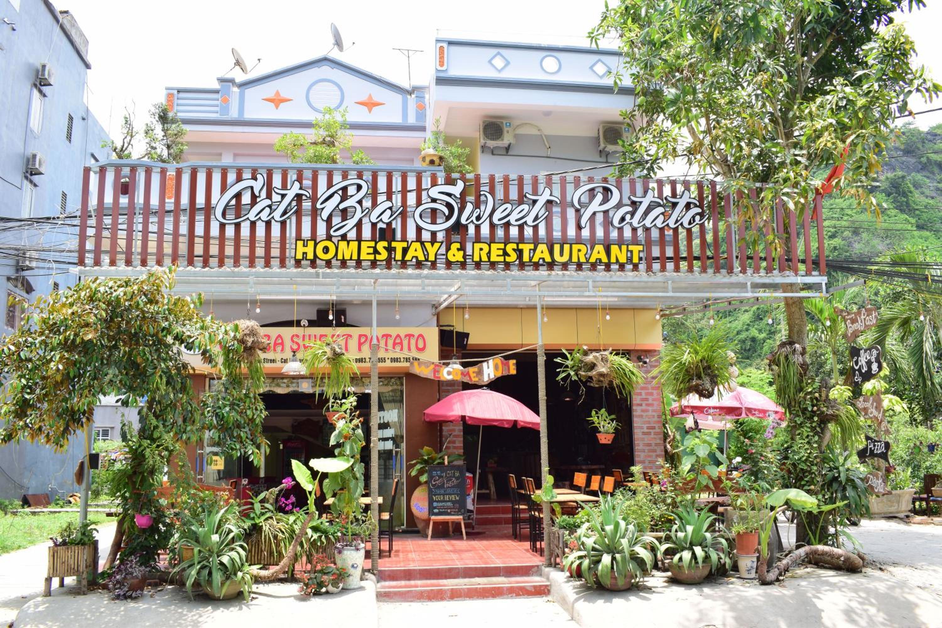 Cat Ba Sweet Potato Homestay
