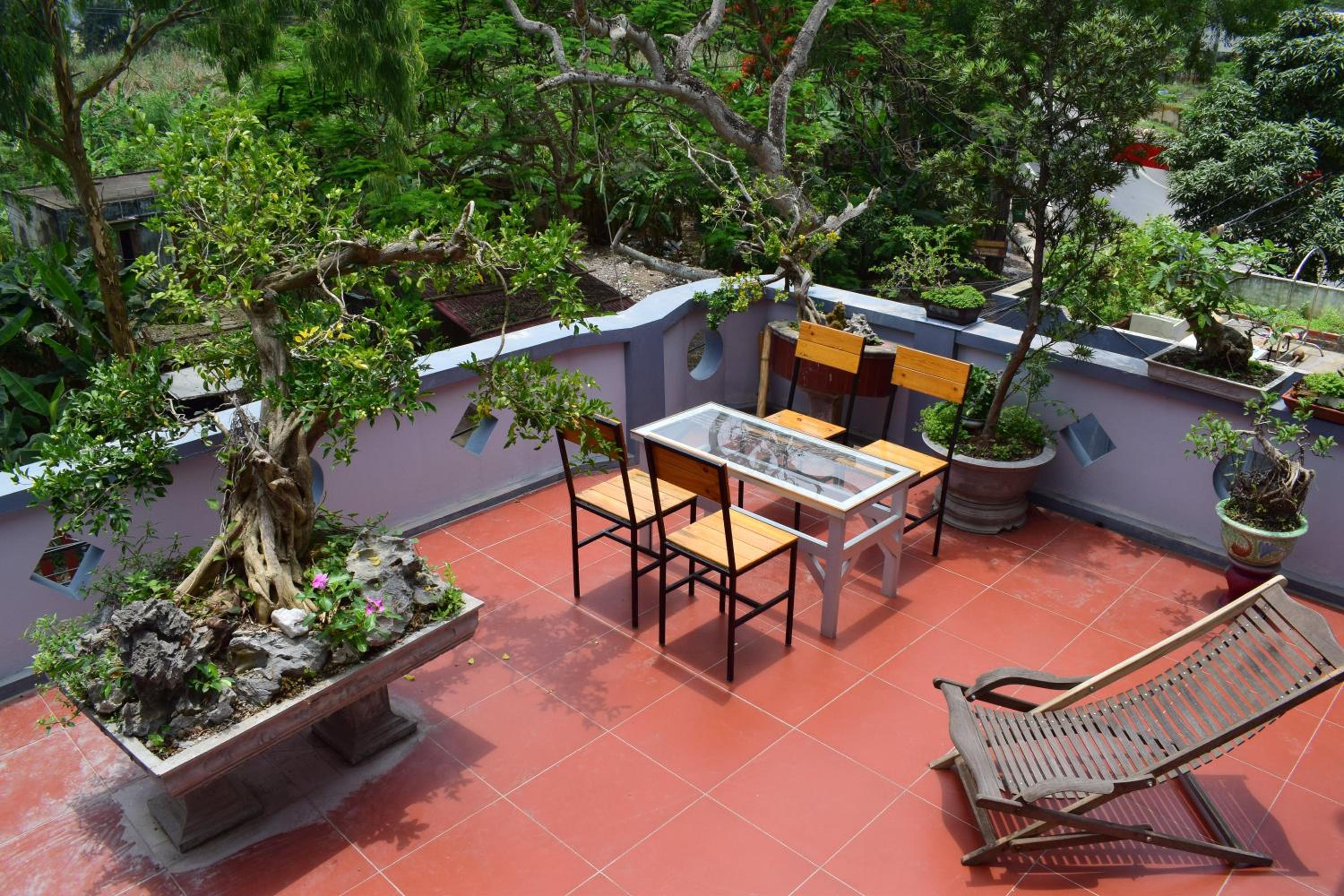 Cat Ba Sweet Potato Homestay