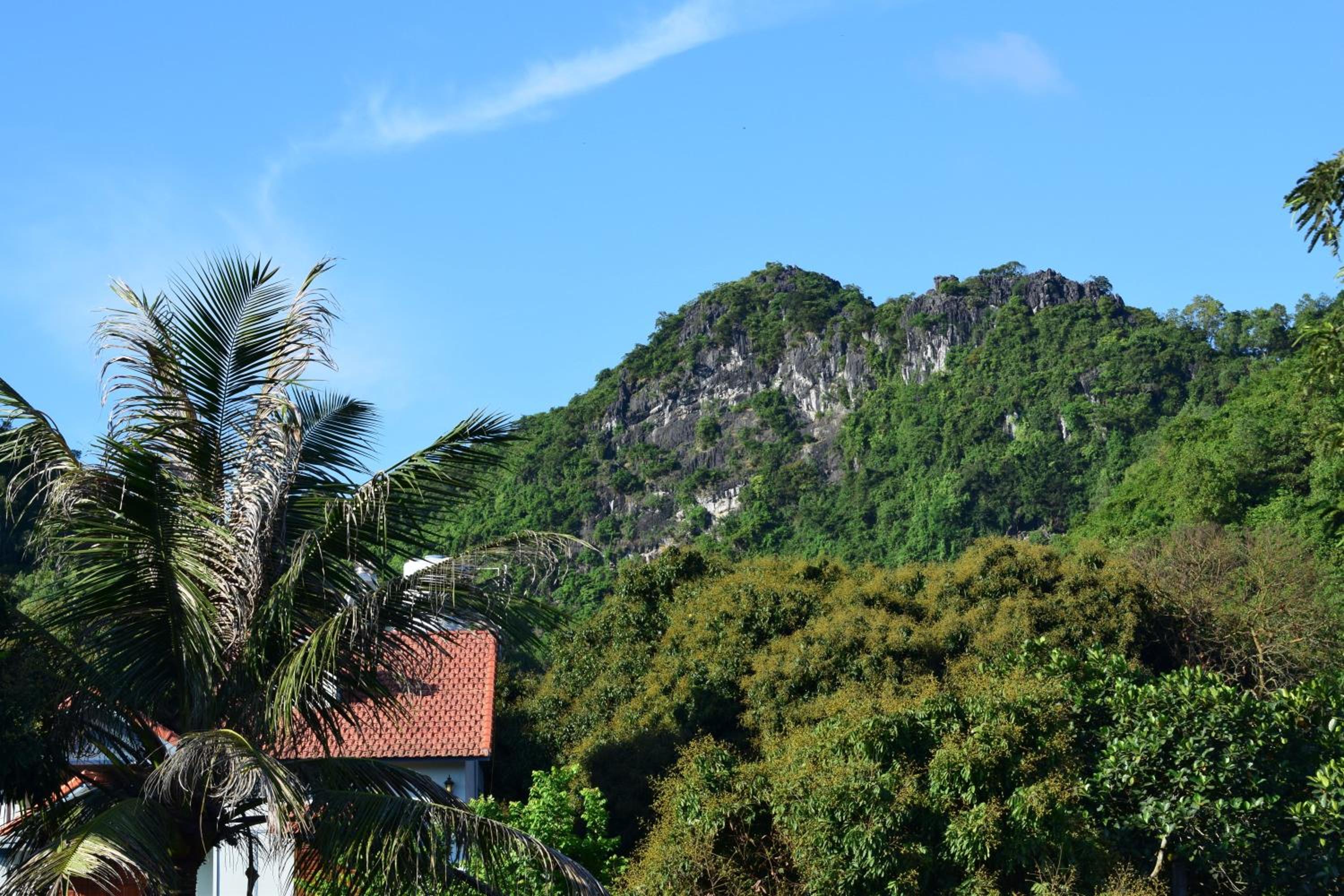 Cat Ba Sweet Potato Homestay