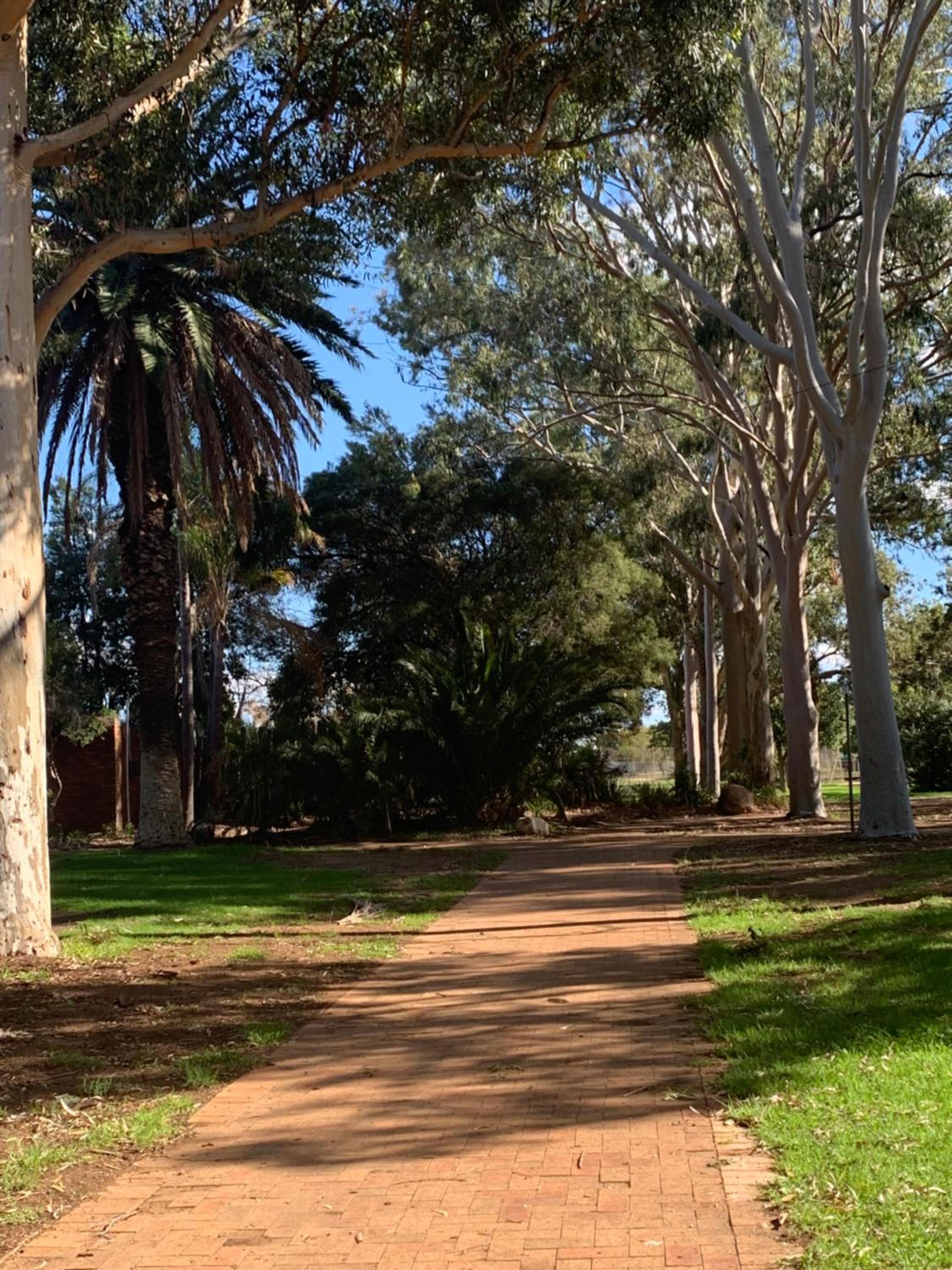 Gilgandra Motel