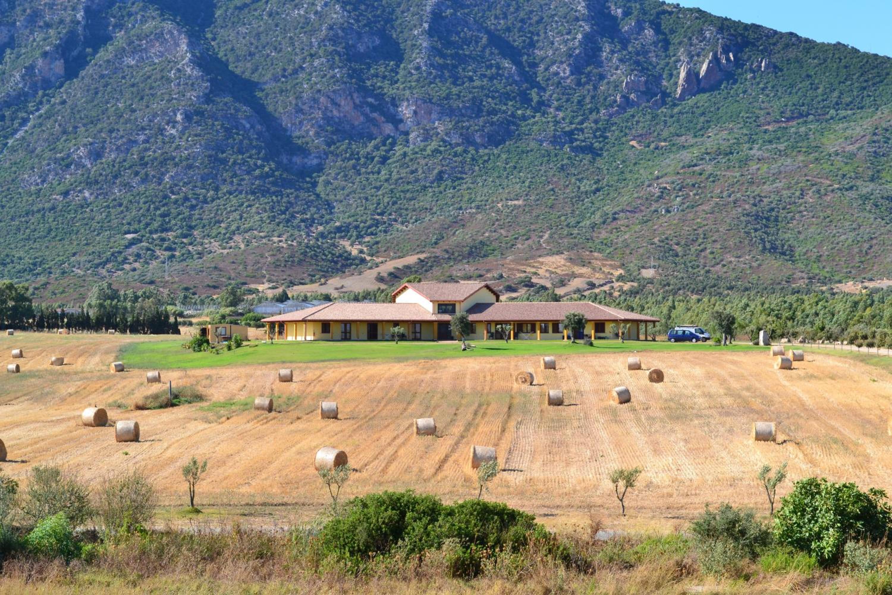 Saludi&Trigu - Rural Apartments view 2