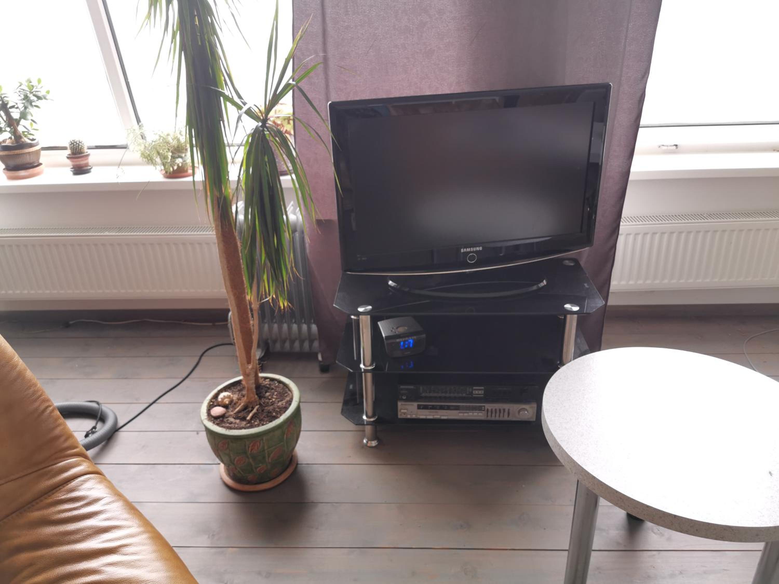 Photo 25