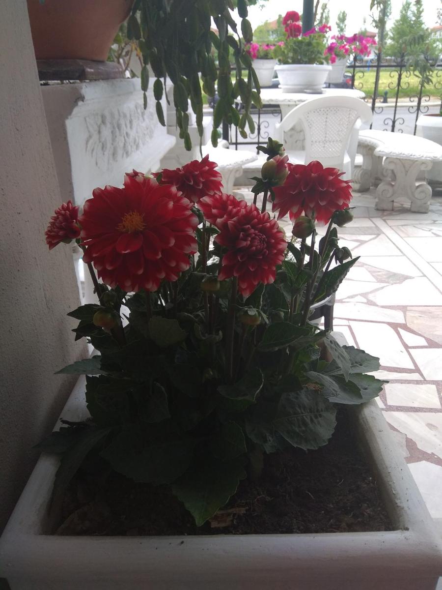 Photo 25
