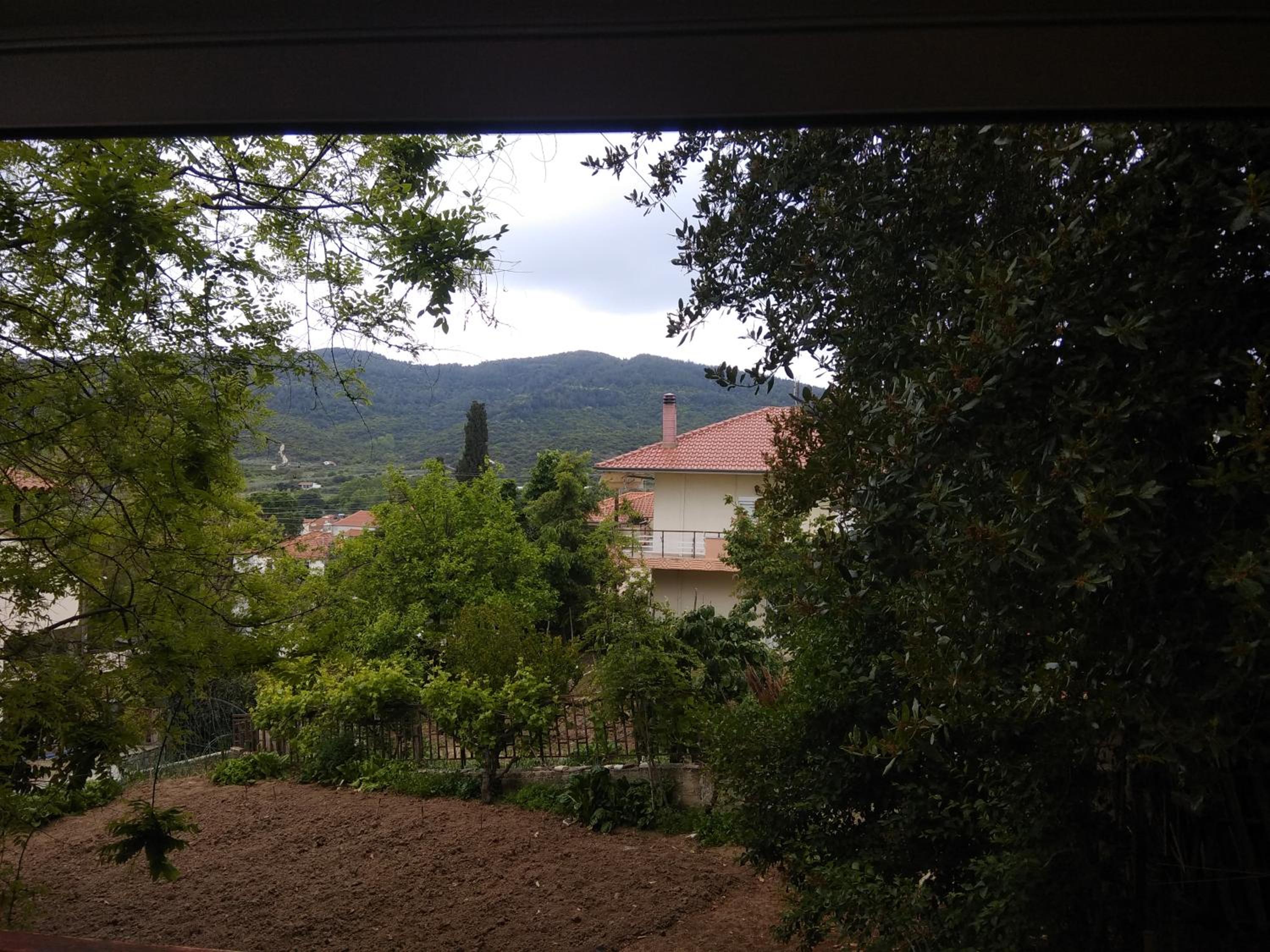 Photo 29