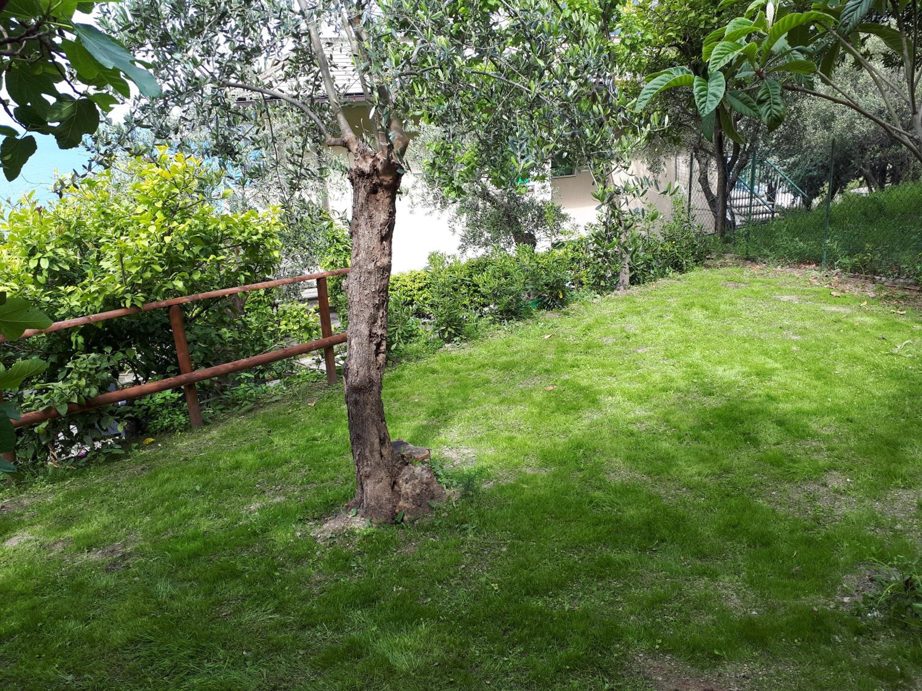 Photo 32