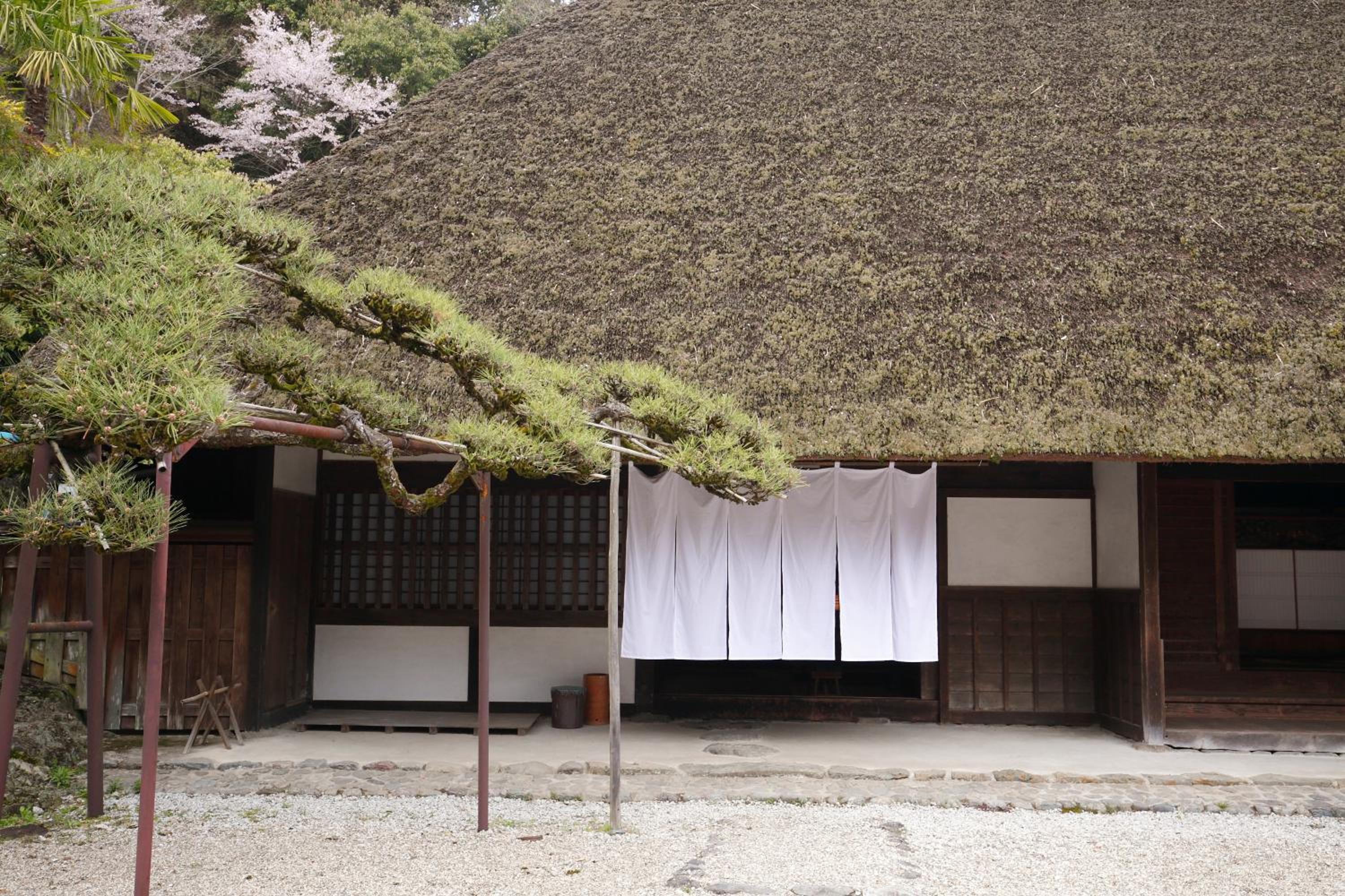 KANAU