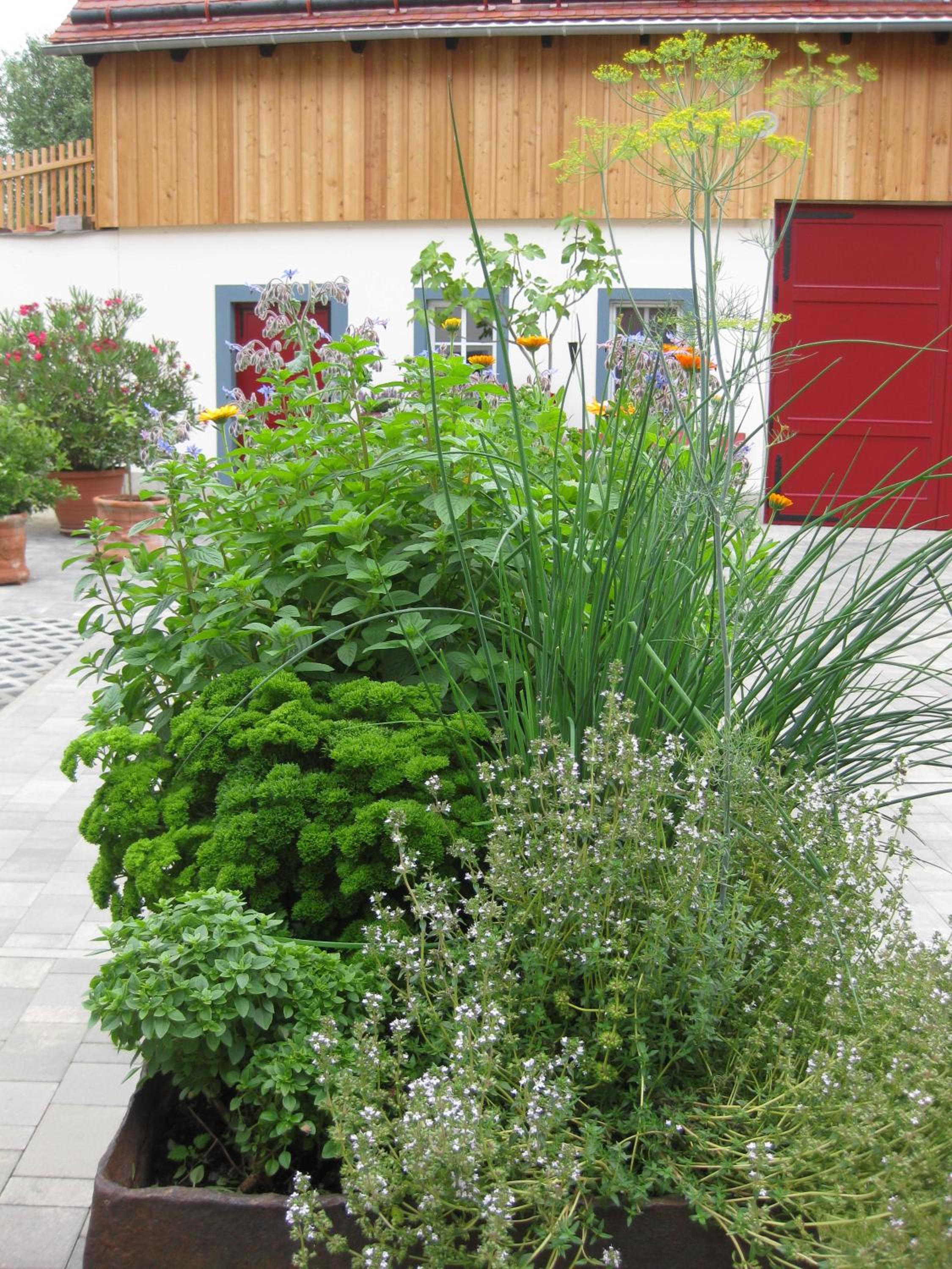 Hossies Hof - Luxus Ferienwohnung Alter Stall