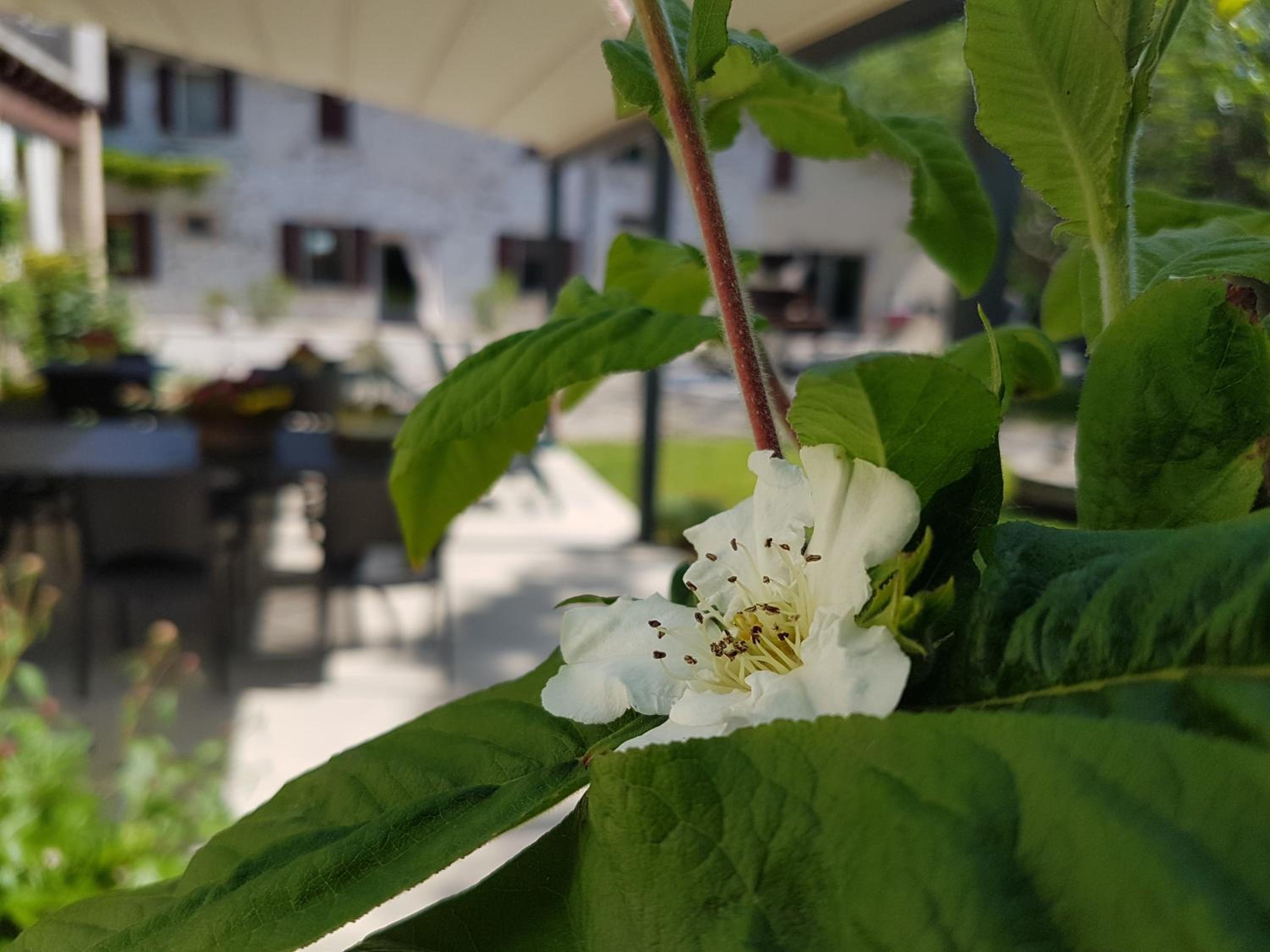 L'Isolo b&b e case vacanza view 5