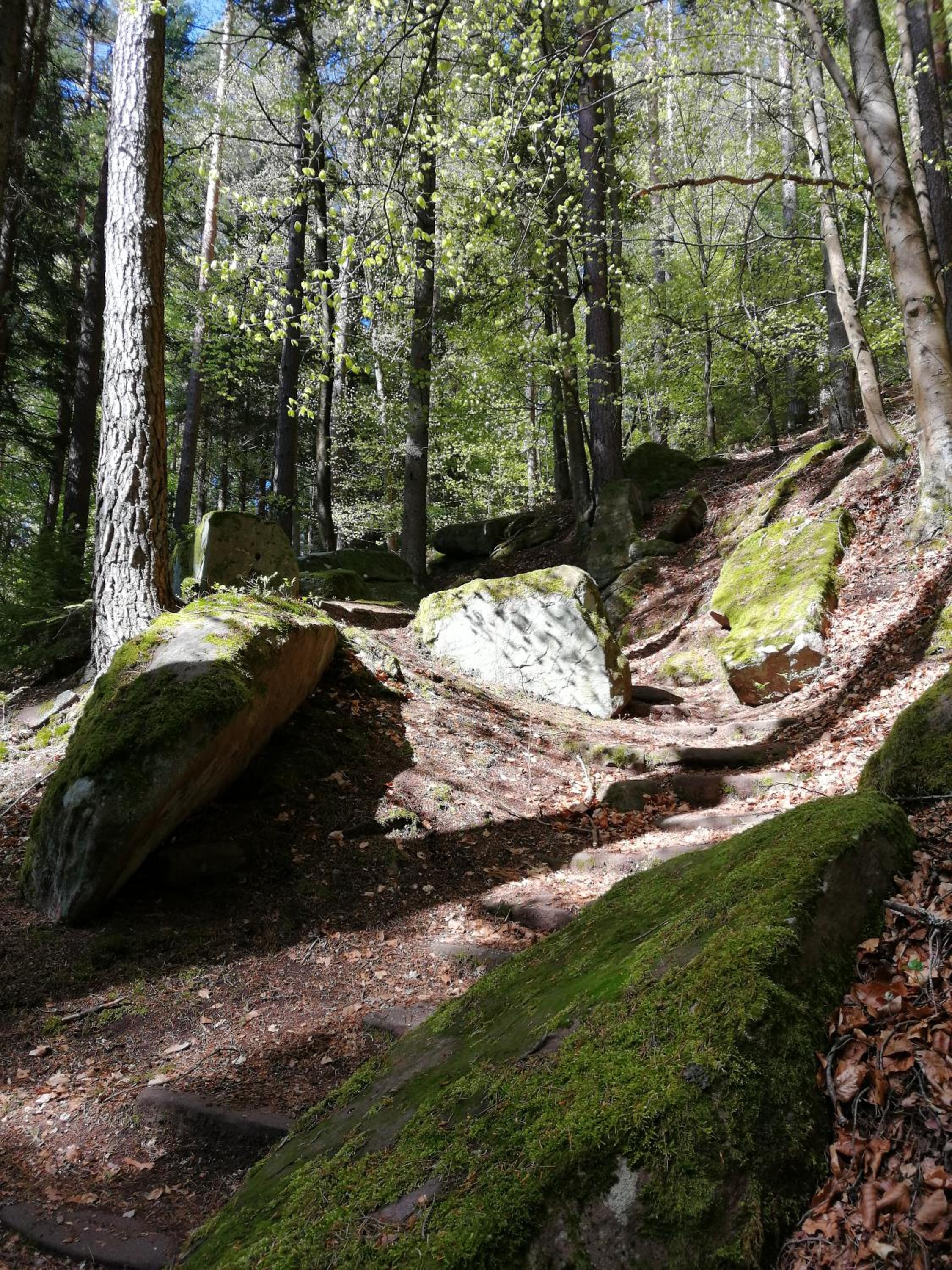 Ferienwohnung TAL-ECK