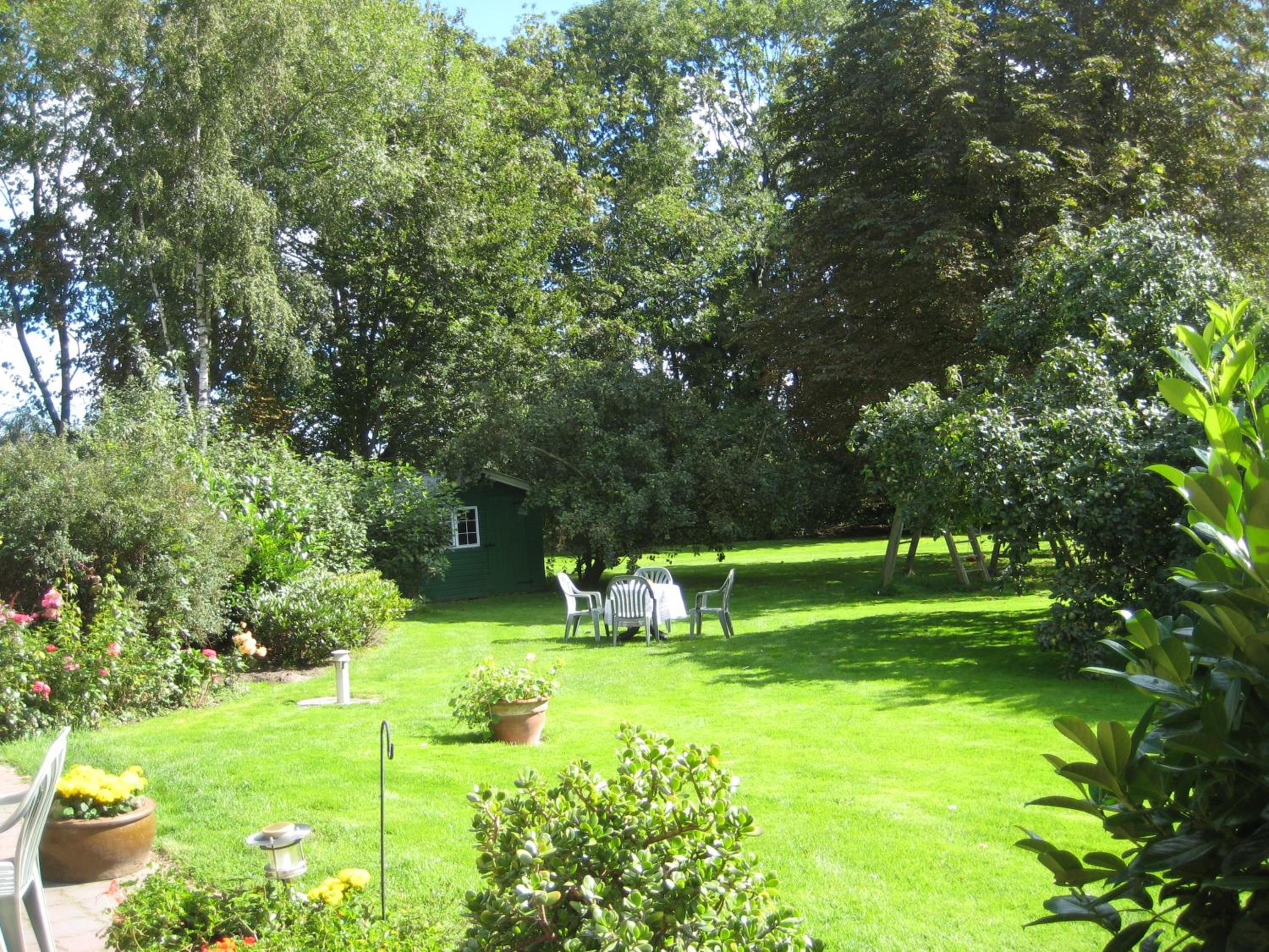 Photo 17