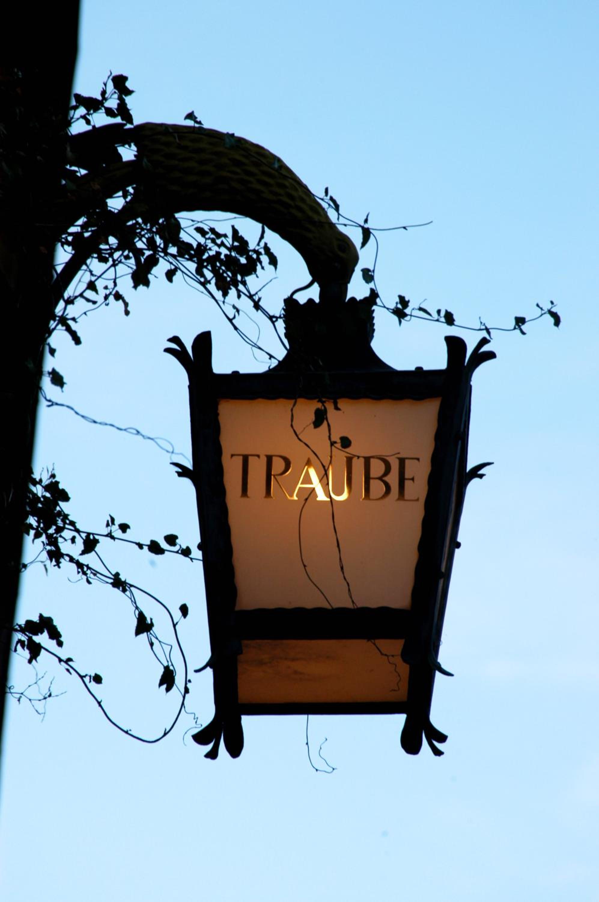 Hotel Traube view 2