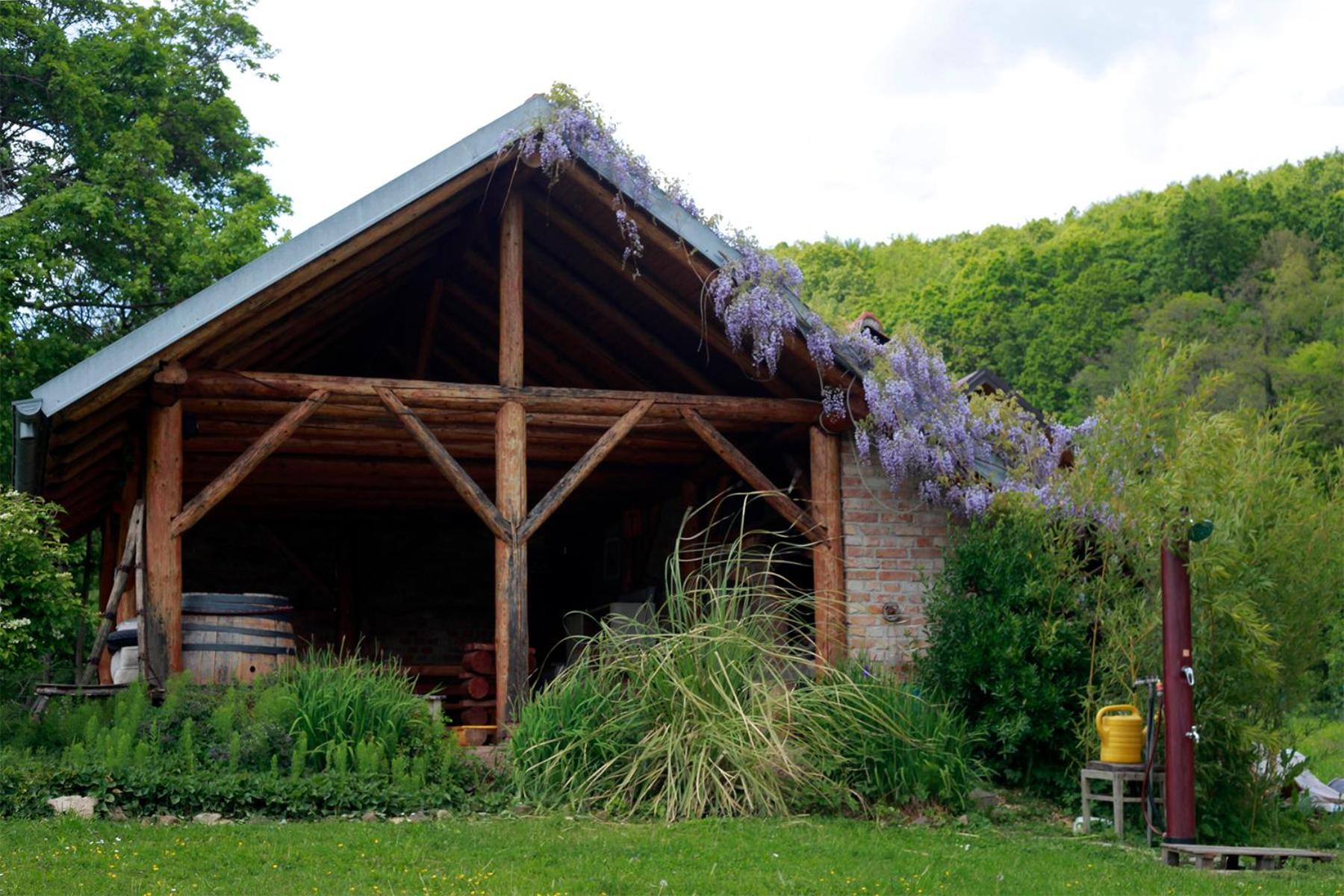 Na Okić - a private forest oasis