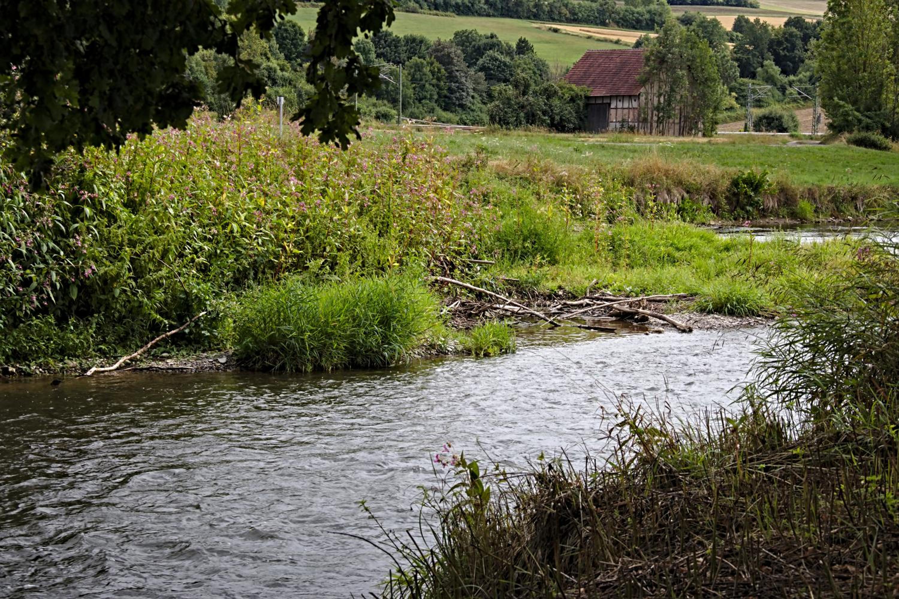 Photo 38