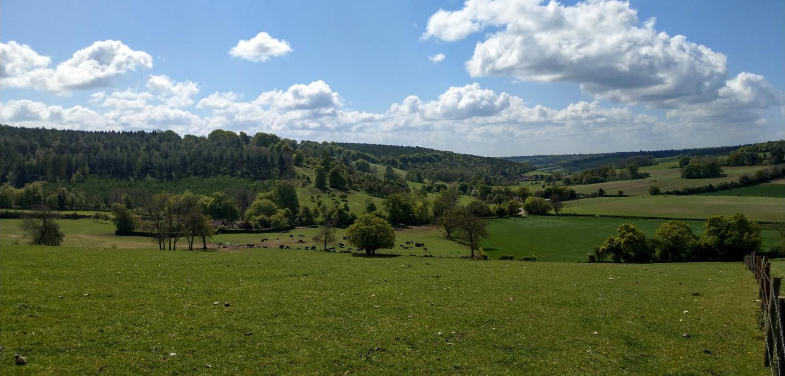 White Pond Farm view 3