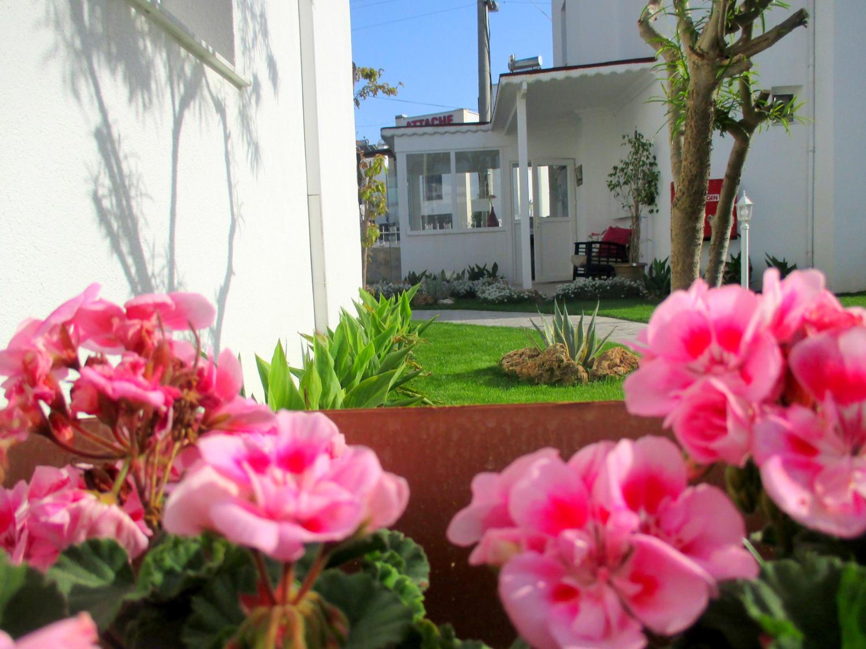 Canna Garden Hotel - Adult Only - Image 2