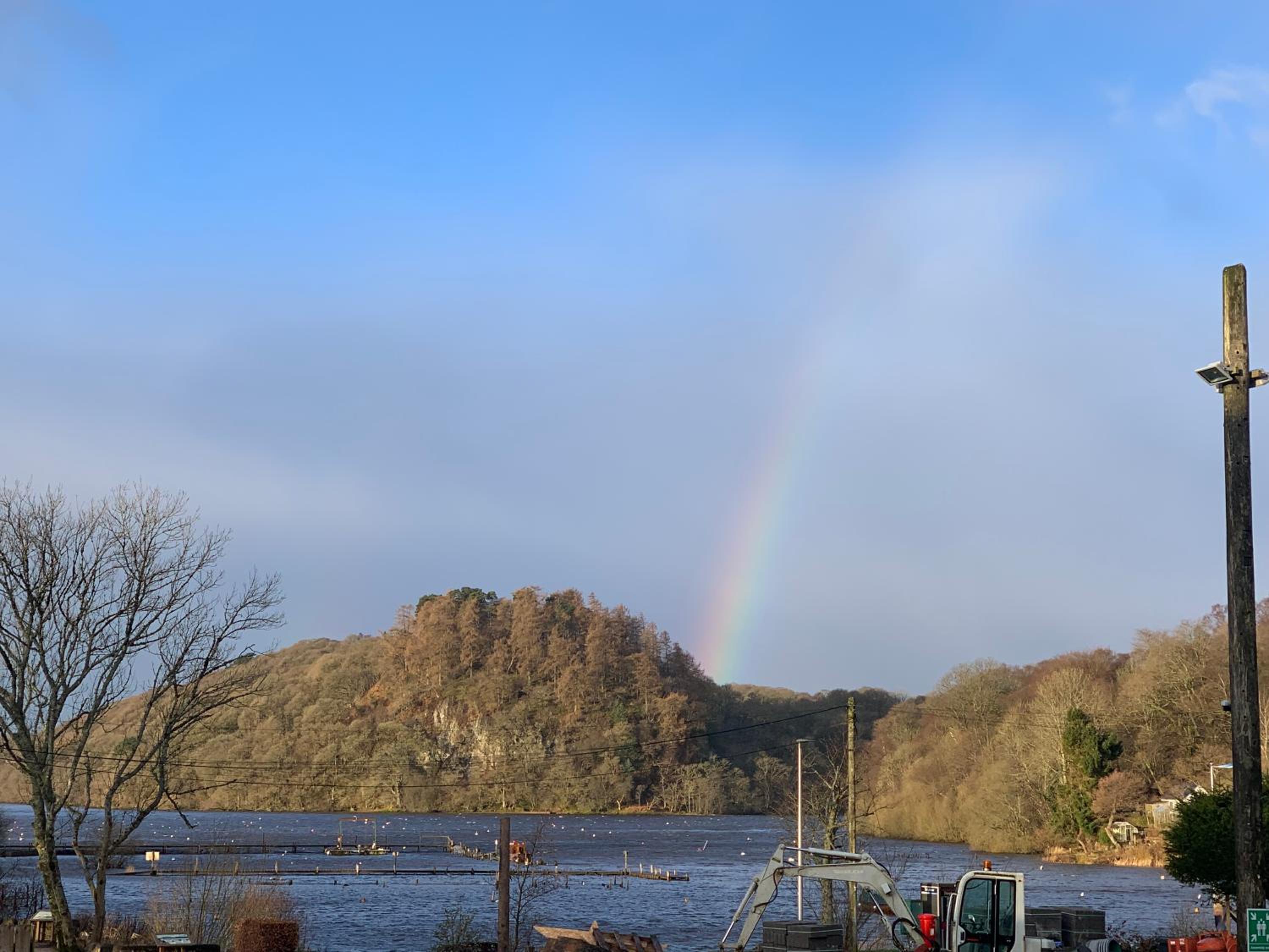 Balmaha Lodges and Apartments