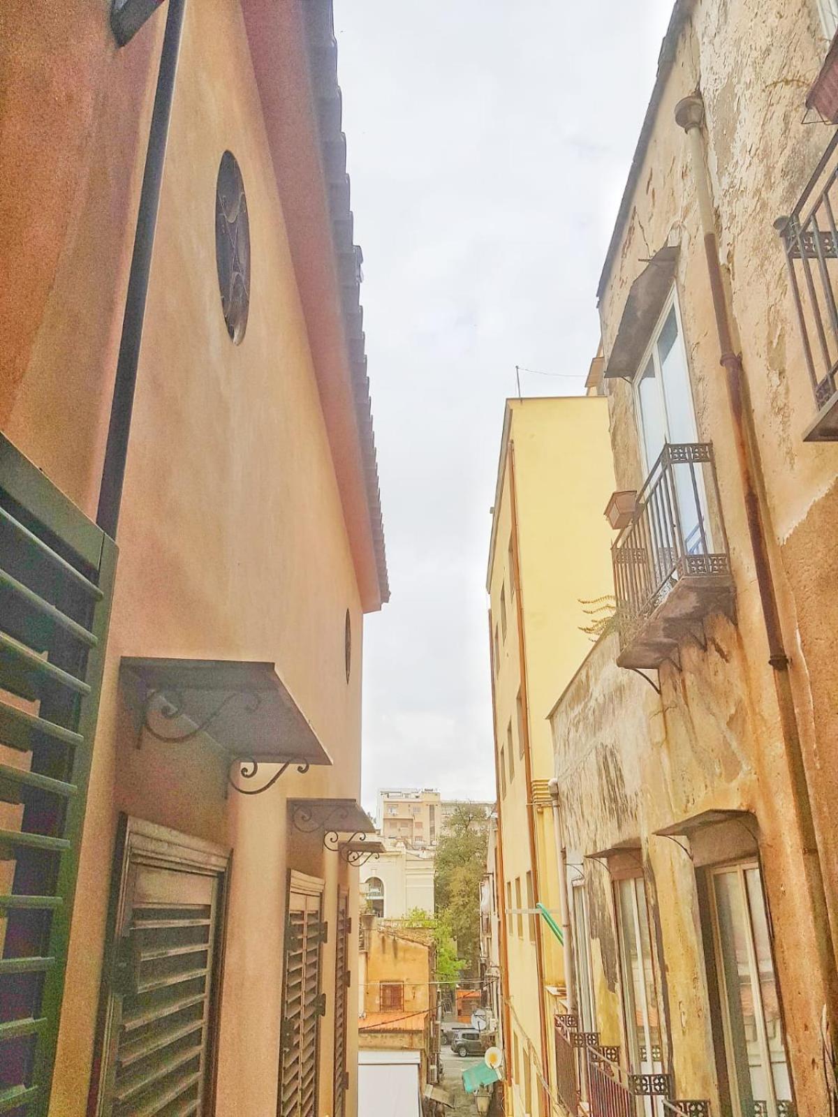 Oly99 photo 5