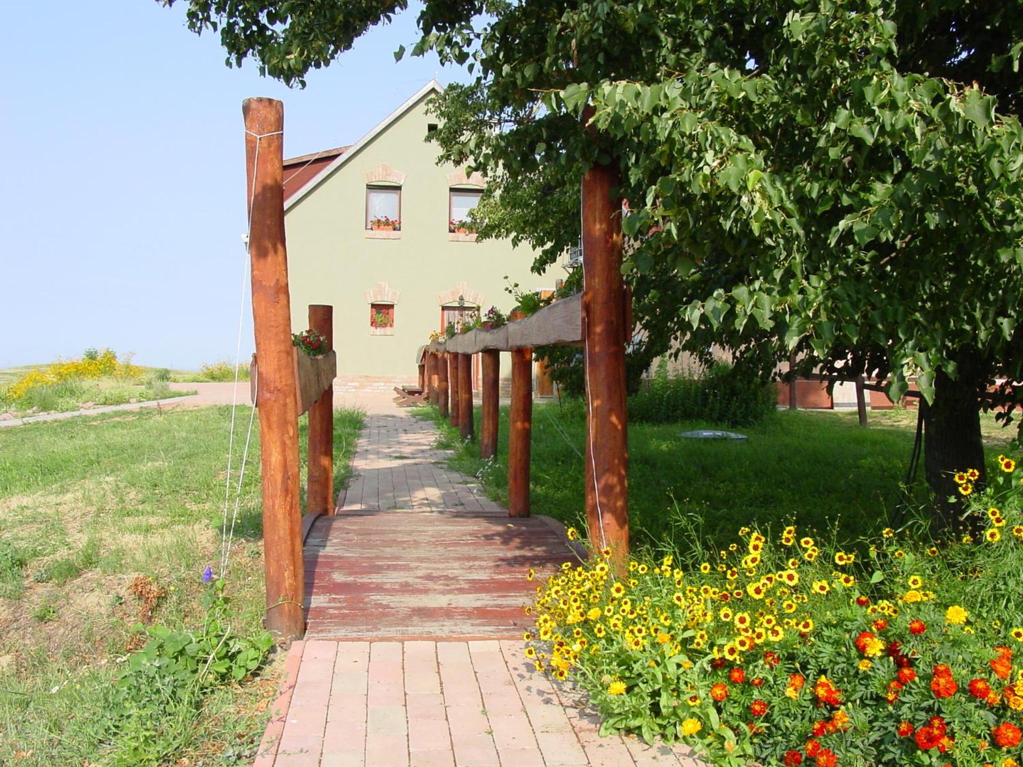 Photo 10