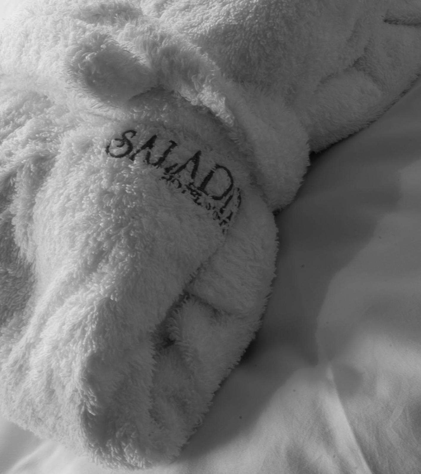 Aparthotel Saladina