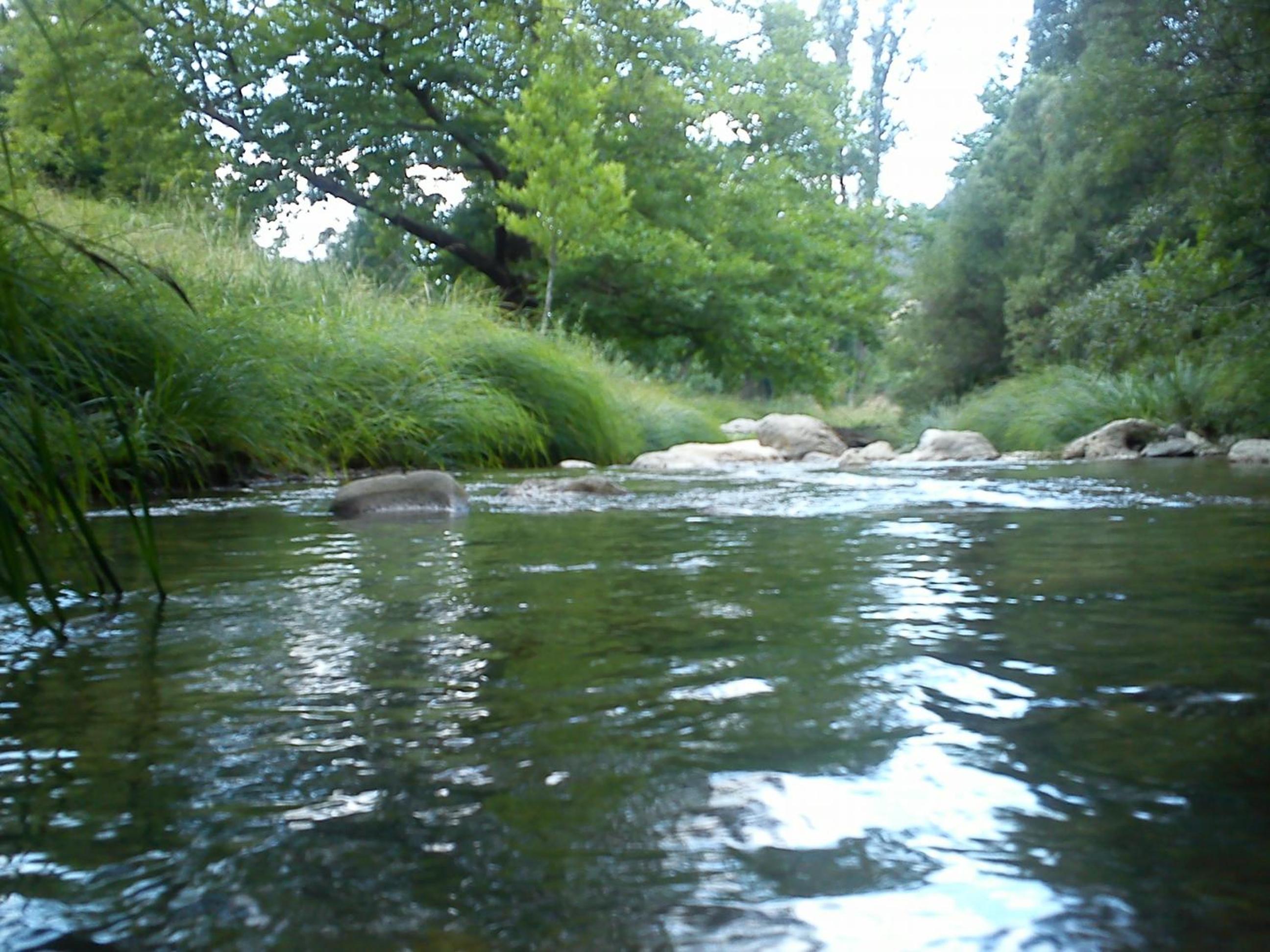 Photo 28